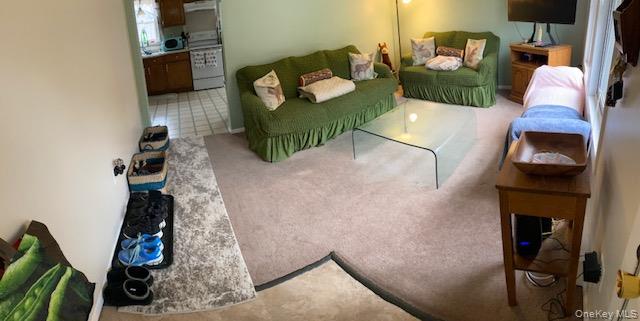 Single Family Lakeland Drive Sullivan County, NY 12779, MLS-1000981-10
