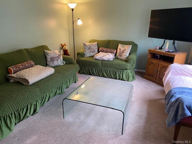 Single Family Lakeland Drive Sullivan County, NY 12779, MLS-1000981-9
