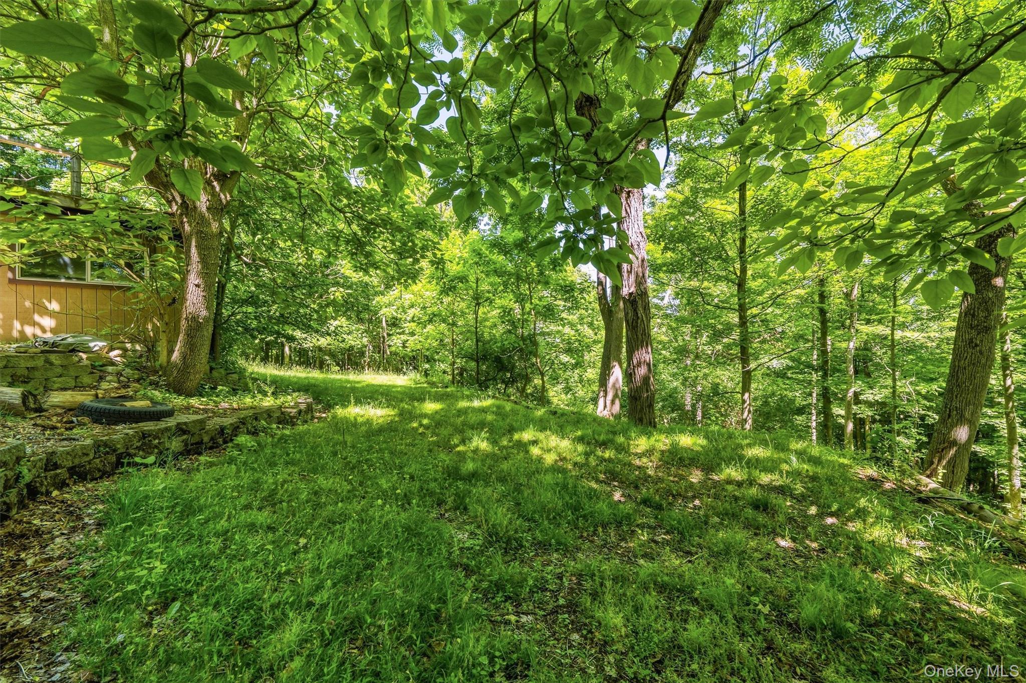 Single Family Old Turnpike Road Sullivan County, NY 12721, MLS-1001072-11