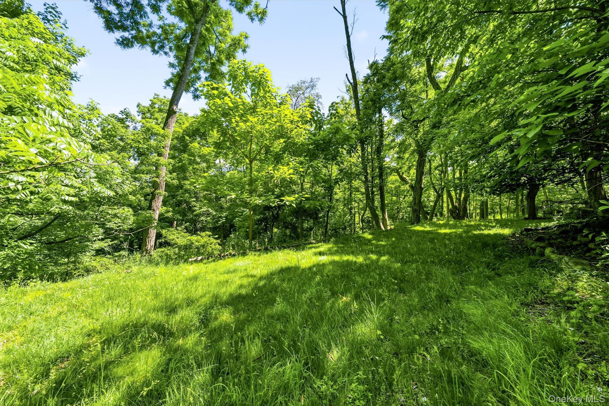 Single Family Old Turnpike Road Sullivan County, NY 12721, MLS-1001072-12