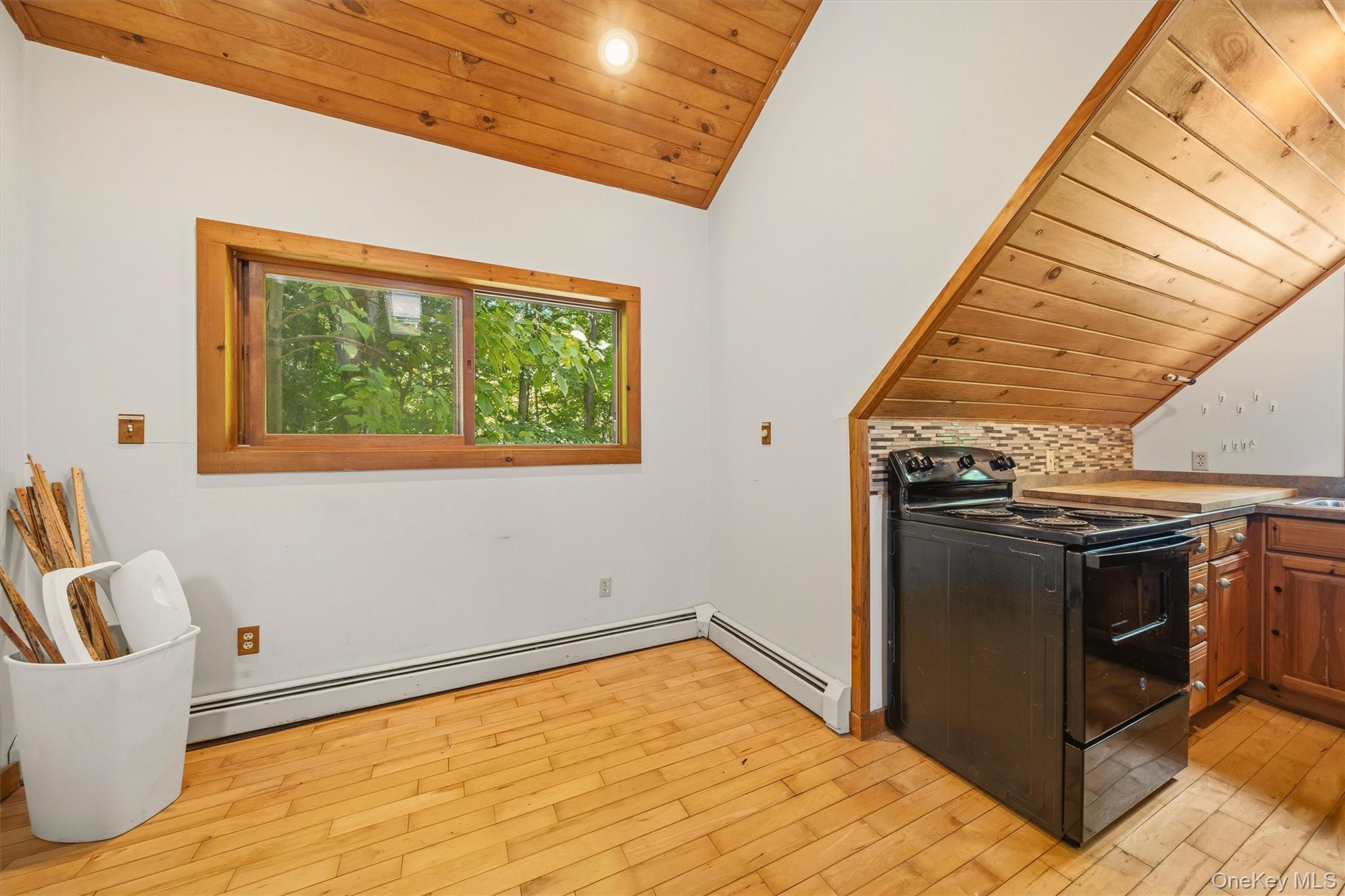 Single Family Old Turnpike Road Sullivan County, NY 12721, MLS-1001072-22
