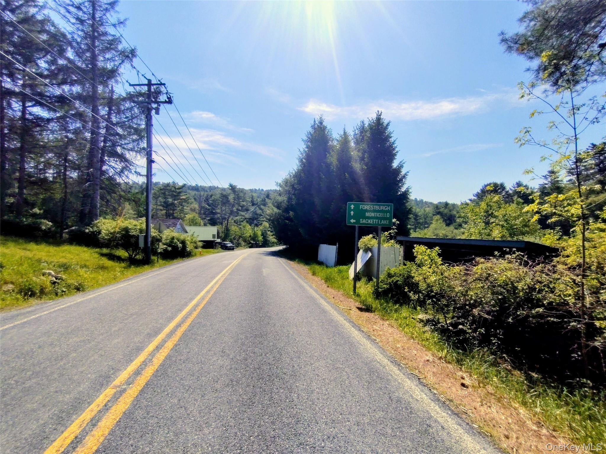 Single Family Forestburgh Sullivan County, NY 12777, MLS-1001106-16