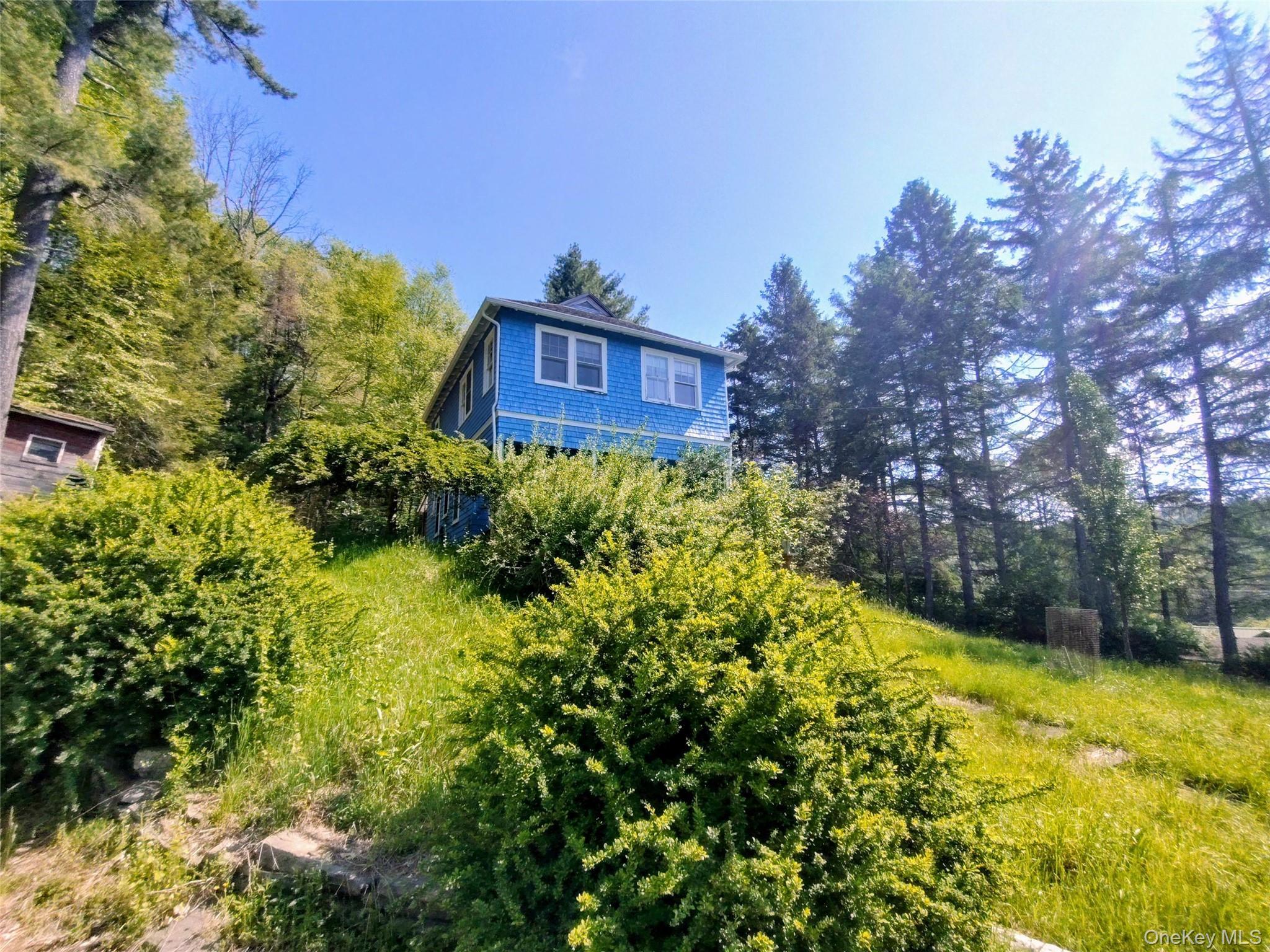 Single Family Forestburgh Sullivan County, NY 12777, MLS-1001106-17