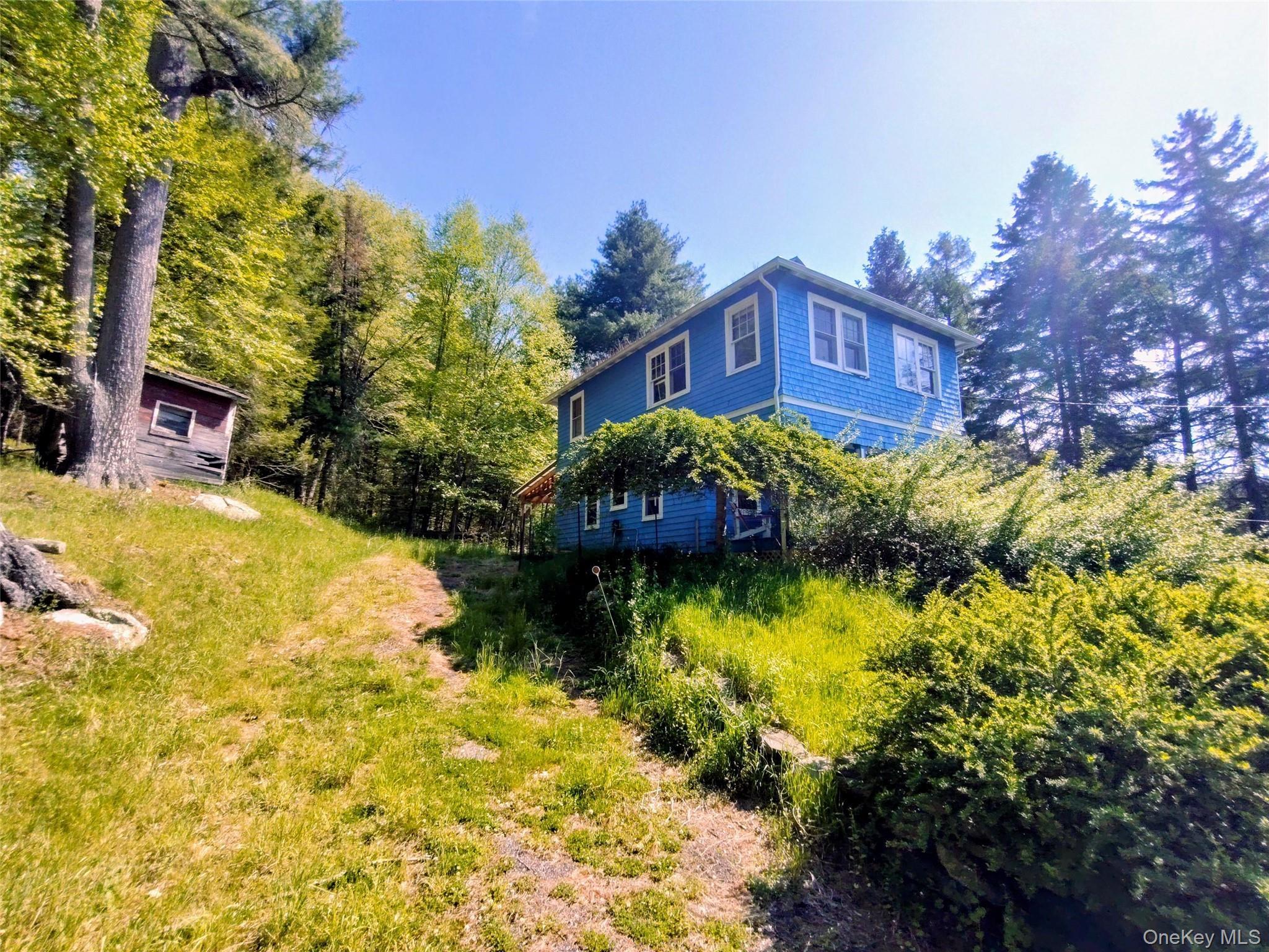 Single Family Forestburgh Sullivan County, NY 12777, MLS-1001106-19