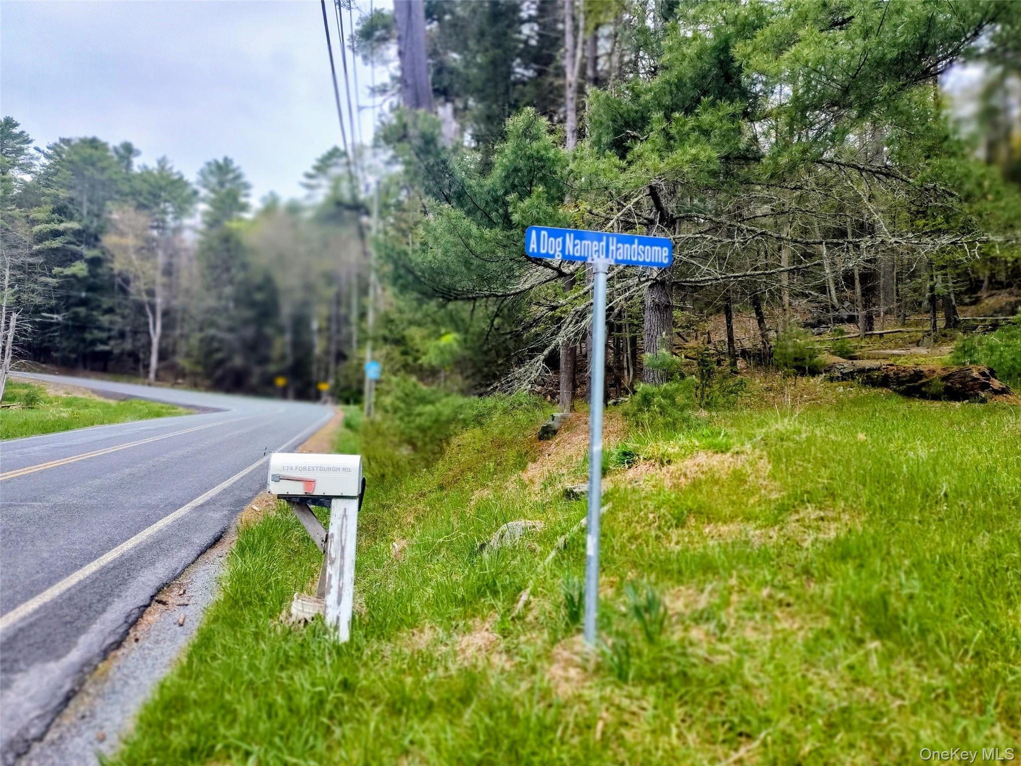 Single Family Forestburgh Sullivan County, NY 12777, MLS-1001106-20