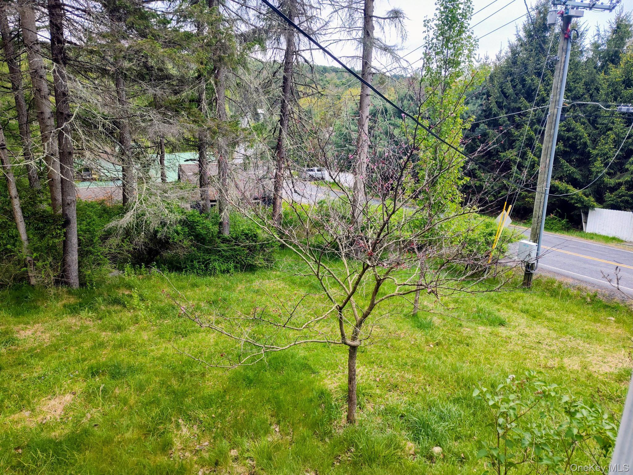 Single Family Forestburgh Sullivan County, NY 12777, MLS-1001106-21