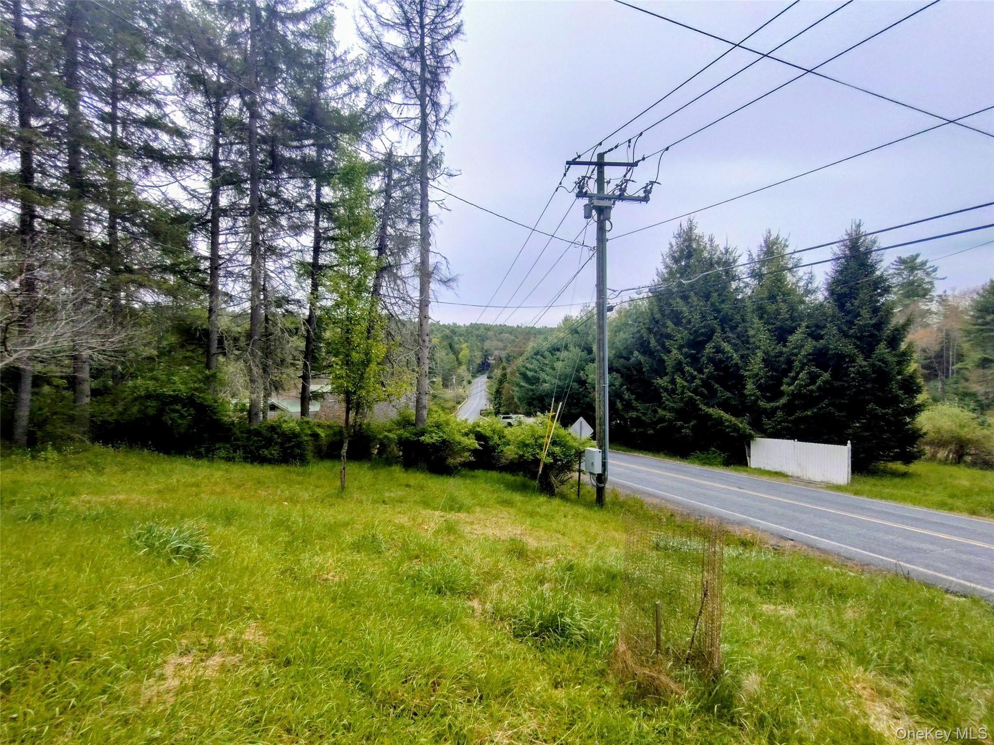Single Family Forestburgh Sullivan County, NY 12777, MLS-1001106-24