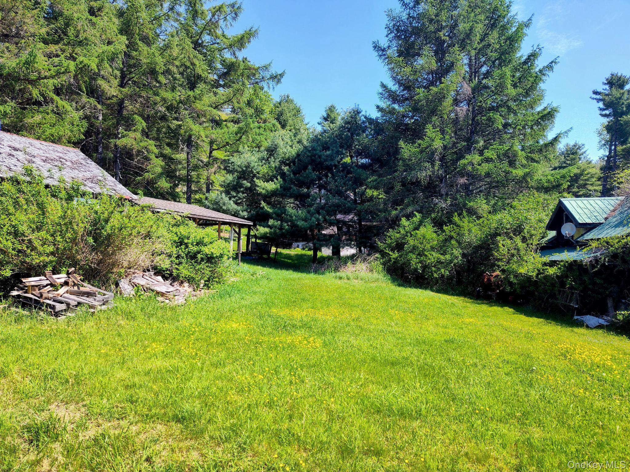 Single Family Forestburgh Sullivan County, NY 12777, MLS-1001106-3