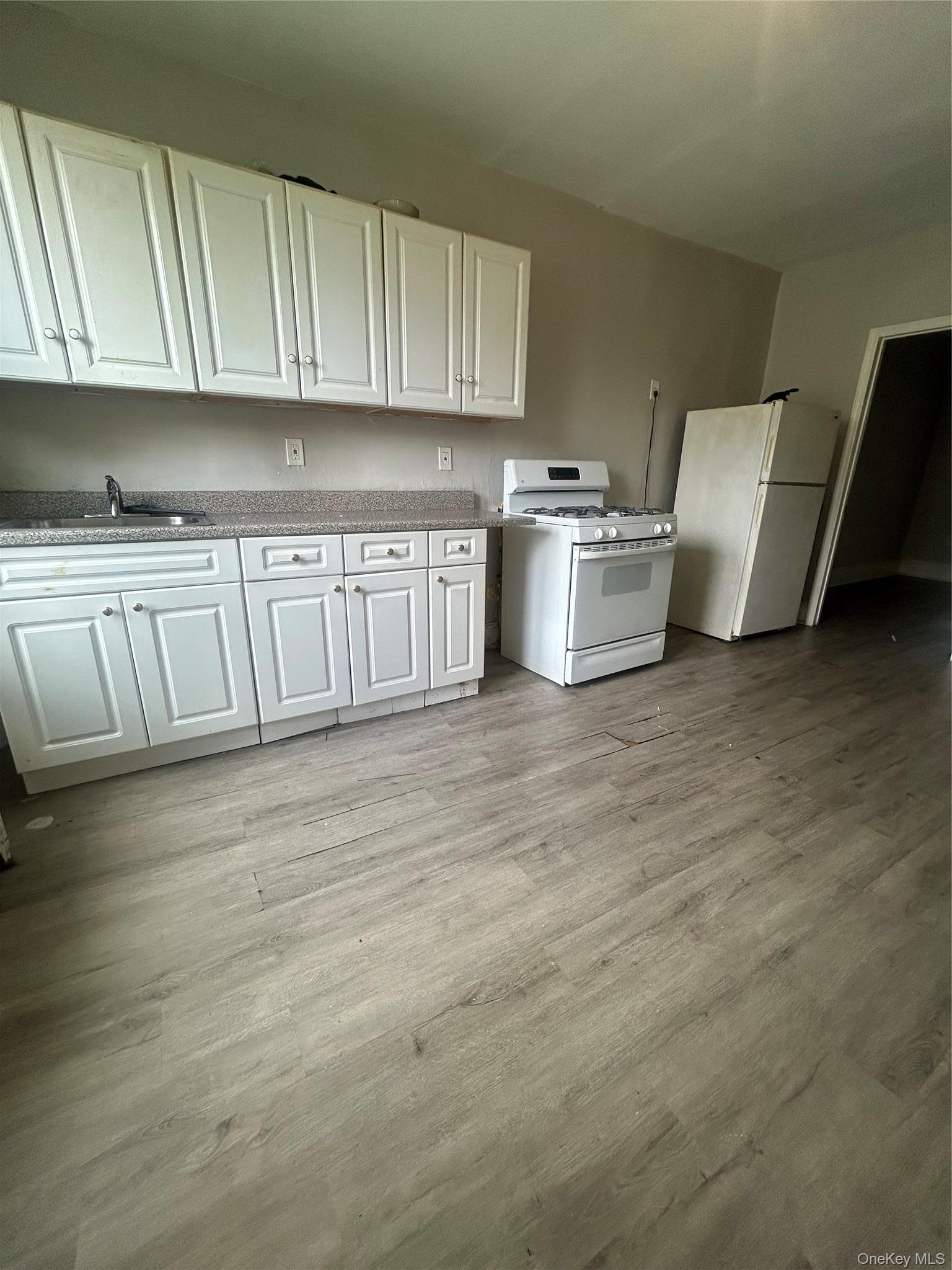 Single Family Gunther Place Brooklyn, NY 11233, MLS-1001117-11