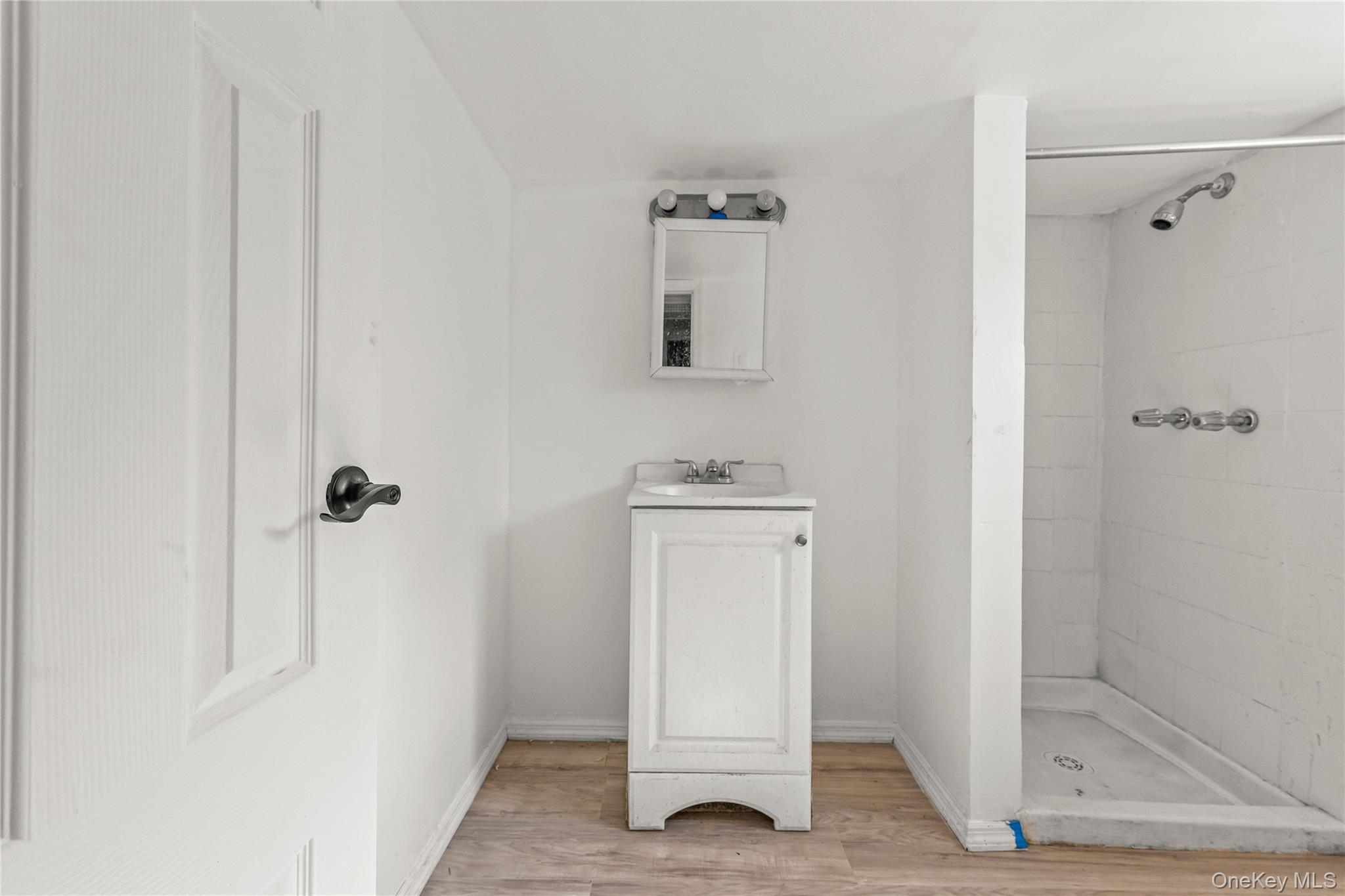 Single Family Gunther Place Brooklyn, NY 11233, MLS-1001117-8
