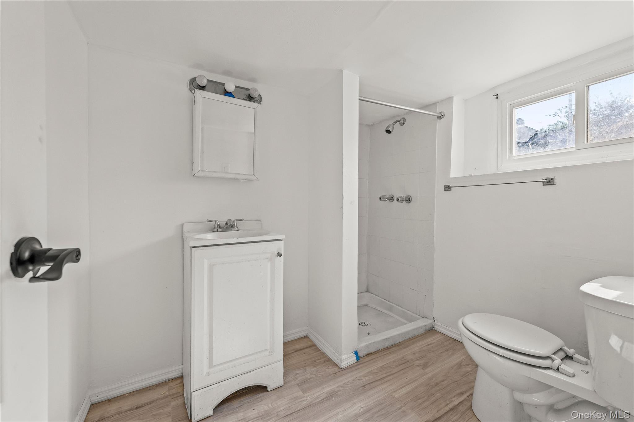Single Family Gunther Place Brooklyn, NY 11233, MLS-1001117-9