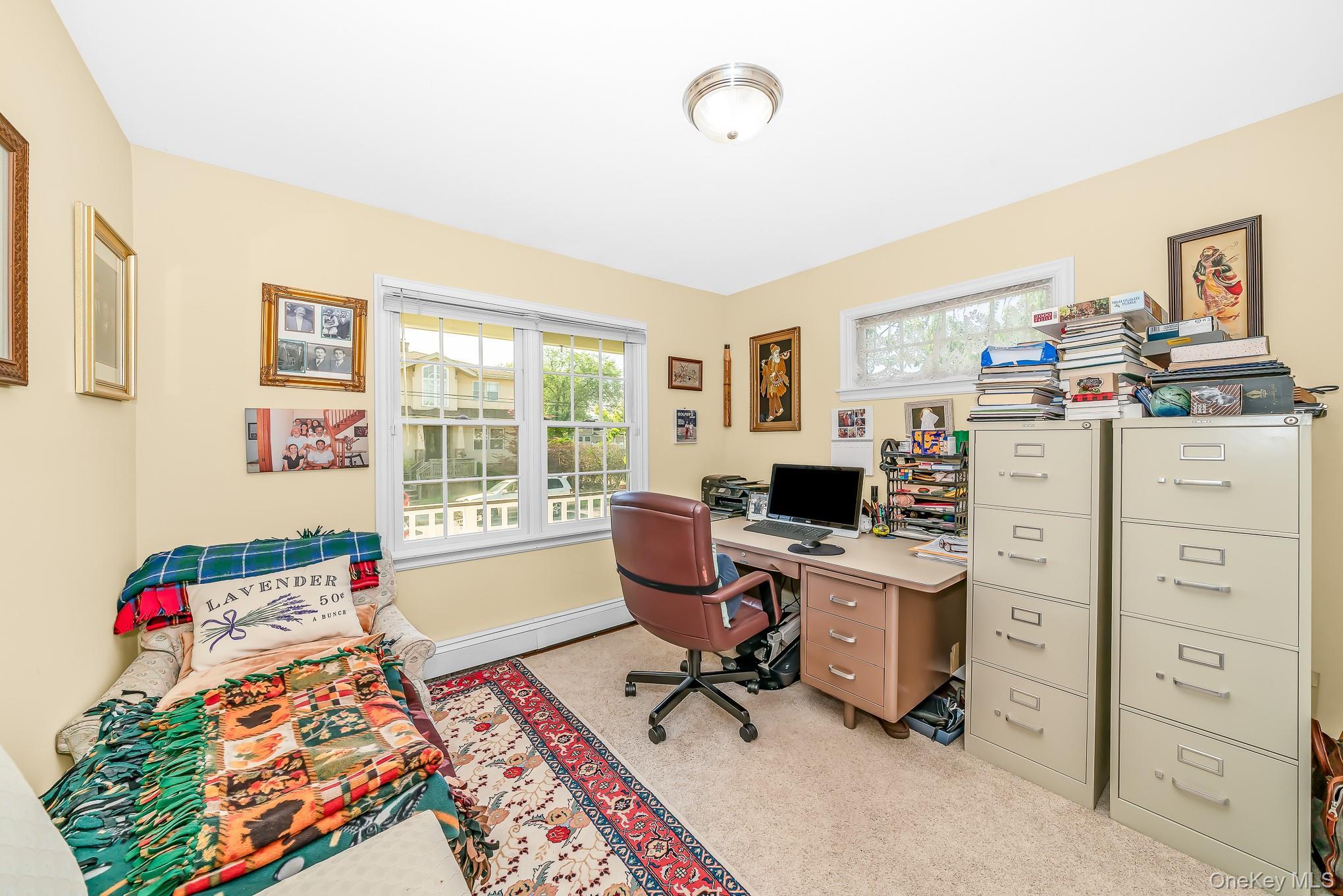 Single Family Peconic Avenue Nassau County, NY 11783, MLS-1001135-15