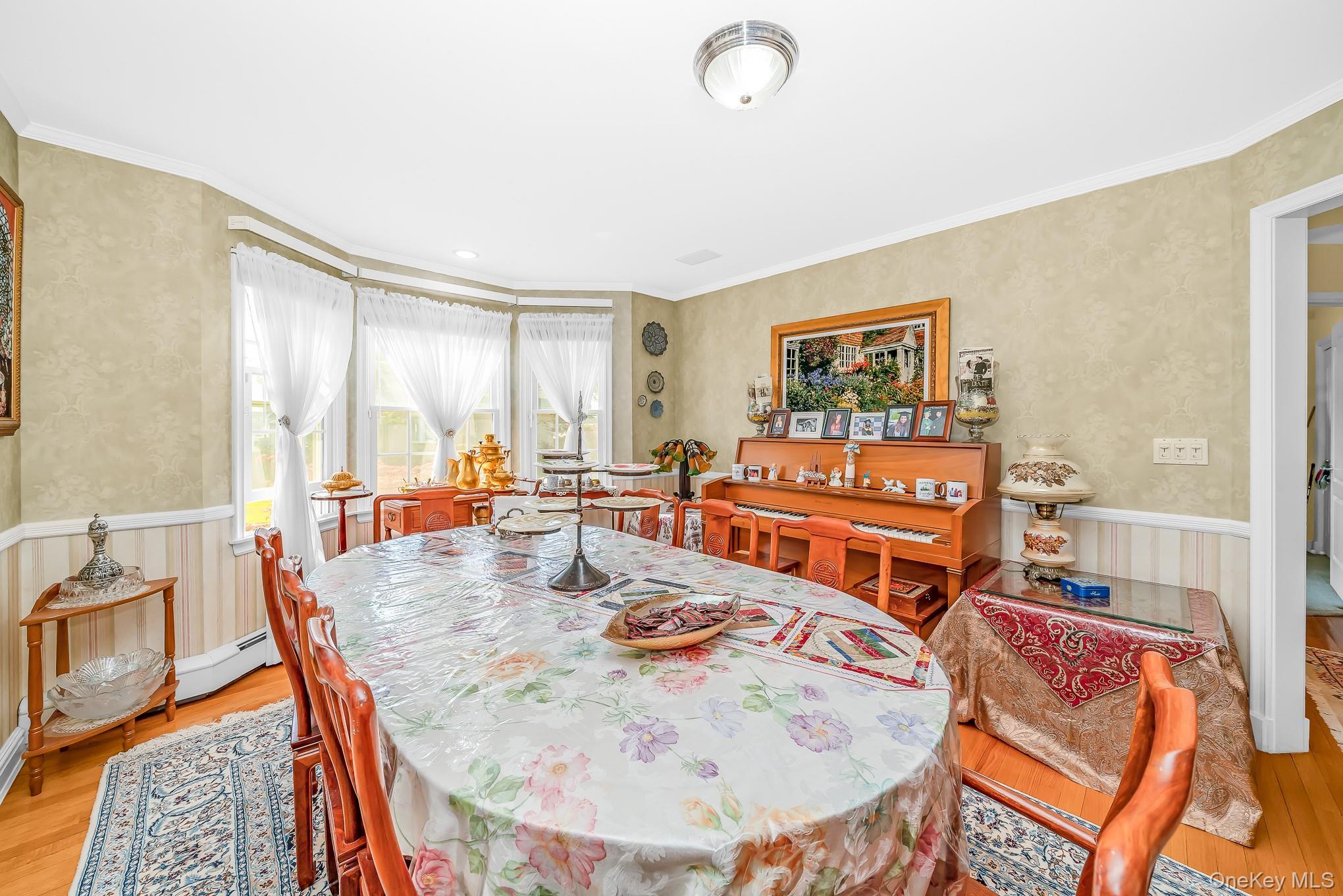 Single Family Peconic Avenue Nassau County, NY 11783, MLS-1001135-2