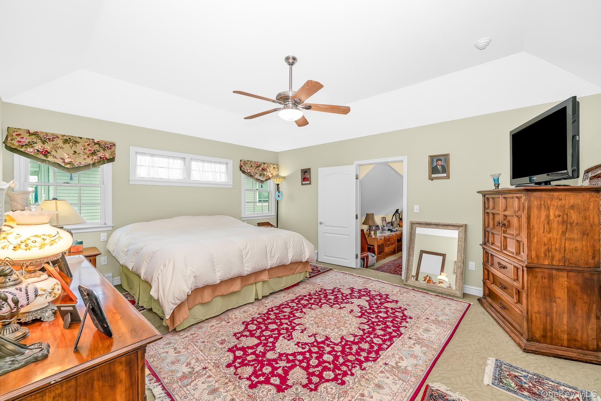 Single Family Peconic Avenue Nassau County, NY 11783, MLS-1001135-27