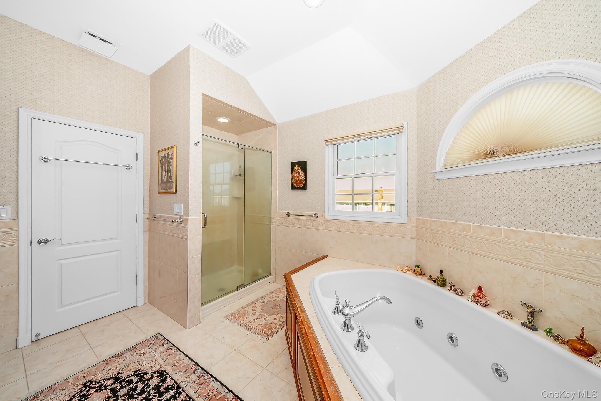 Single Family Peconic Avenue Nassau County, NY 11783, MLS-1001135-29