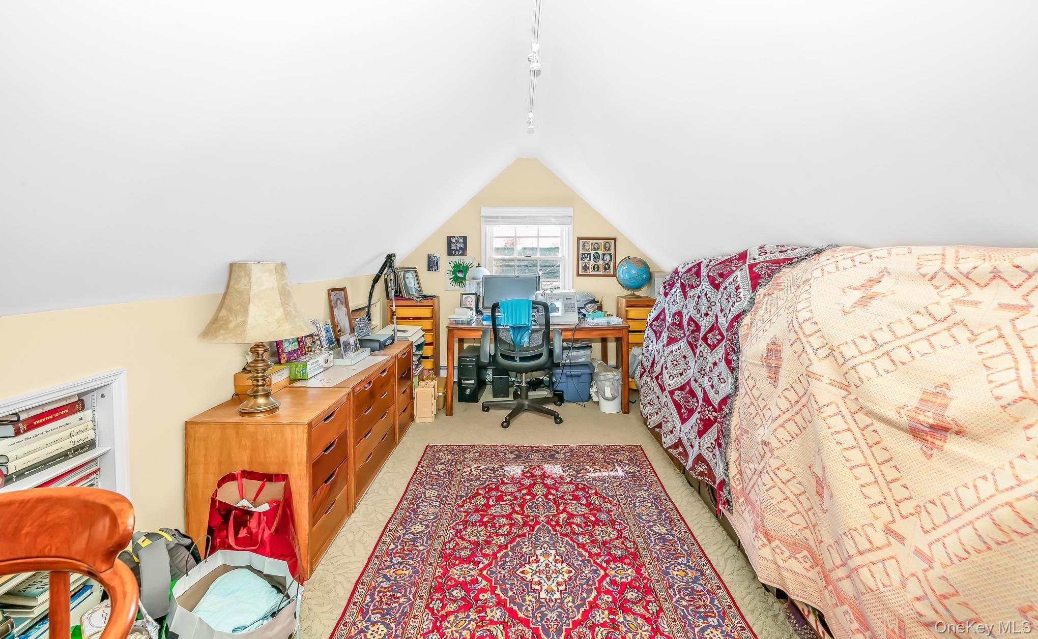 Single Family Peconic Avenue Nassau County, NY 11783, MLS-1001135-30