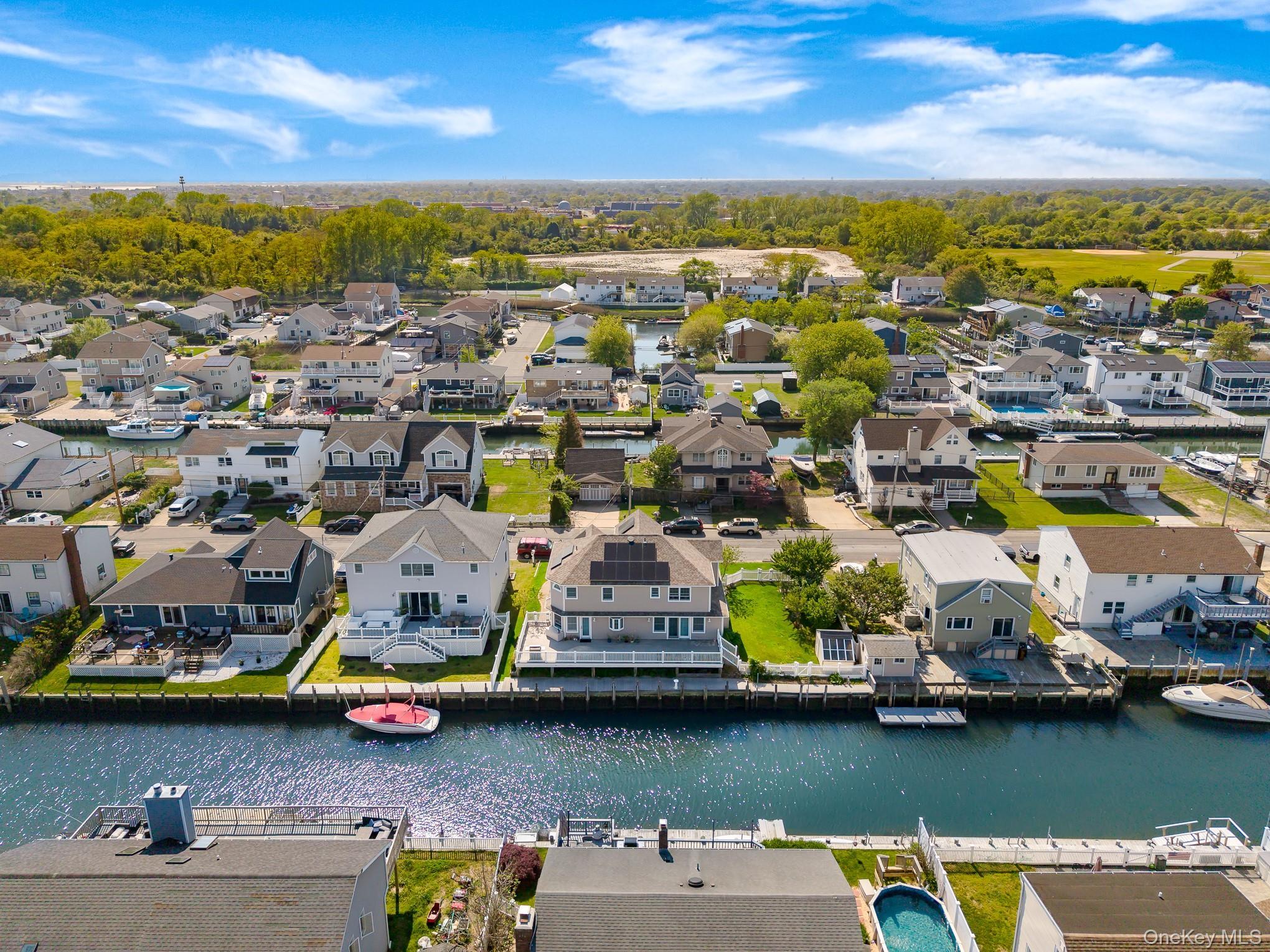 Single Family Peconic Avenue  Nassau County, NY 11783, MLS-1001135-50