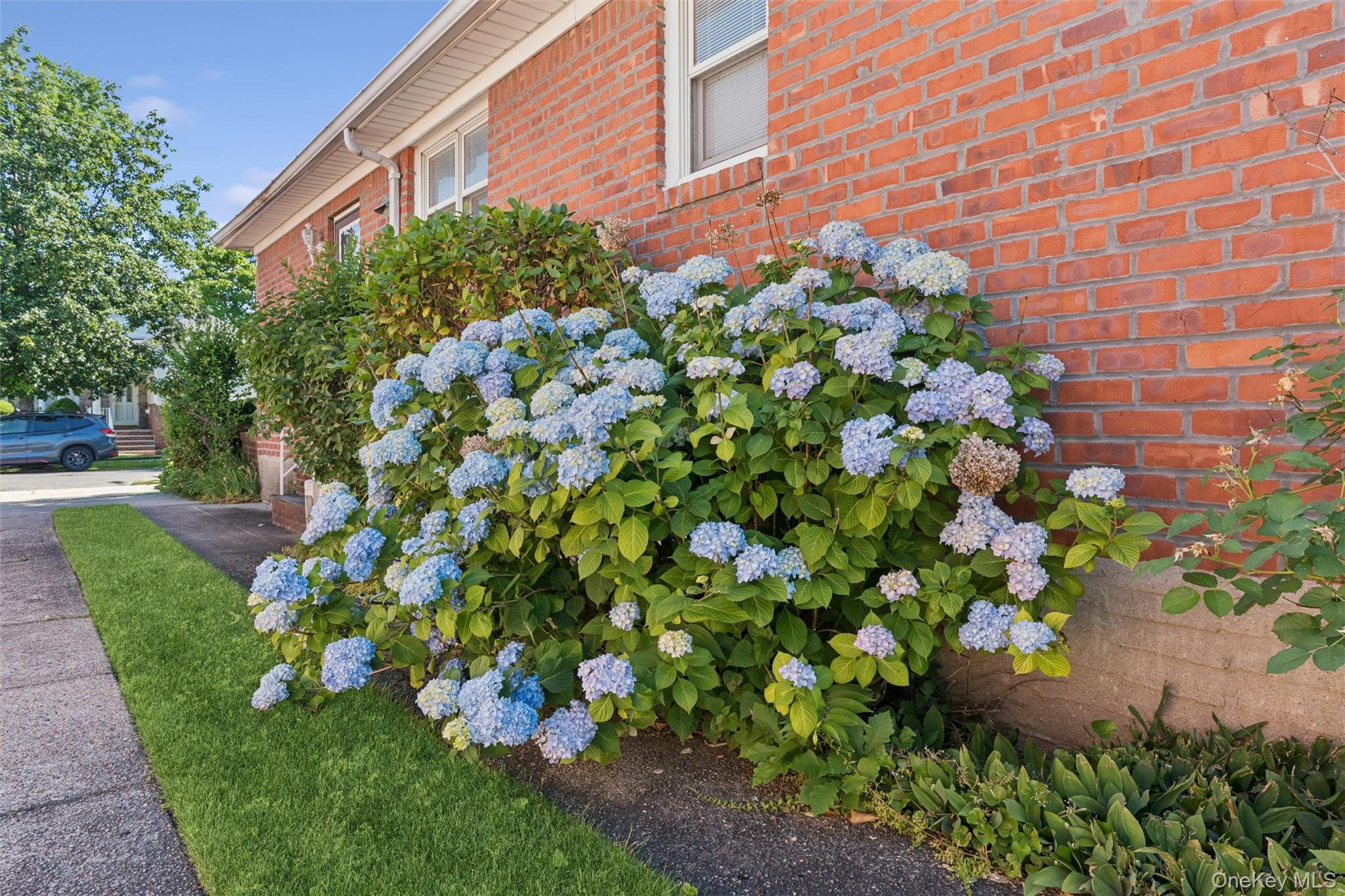 Single Family 24th  Queens, NY 11357, MLS-1001177-21