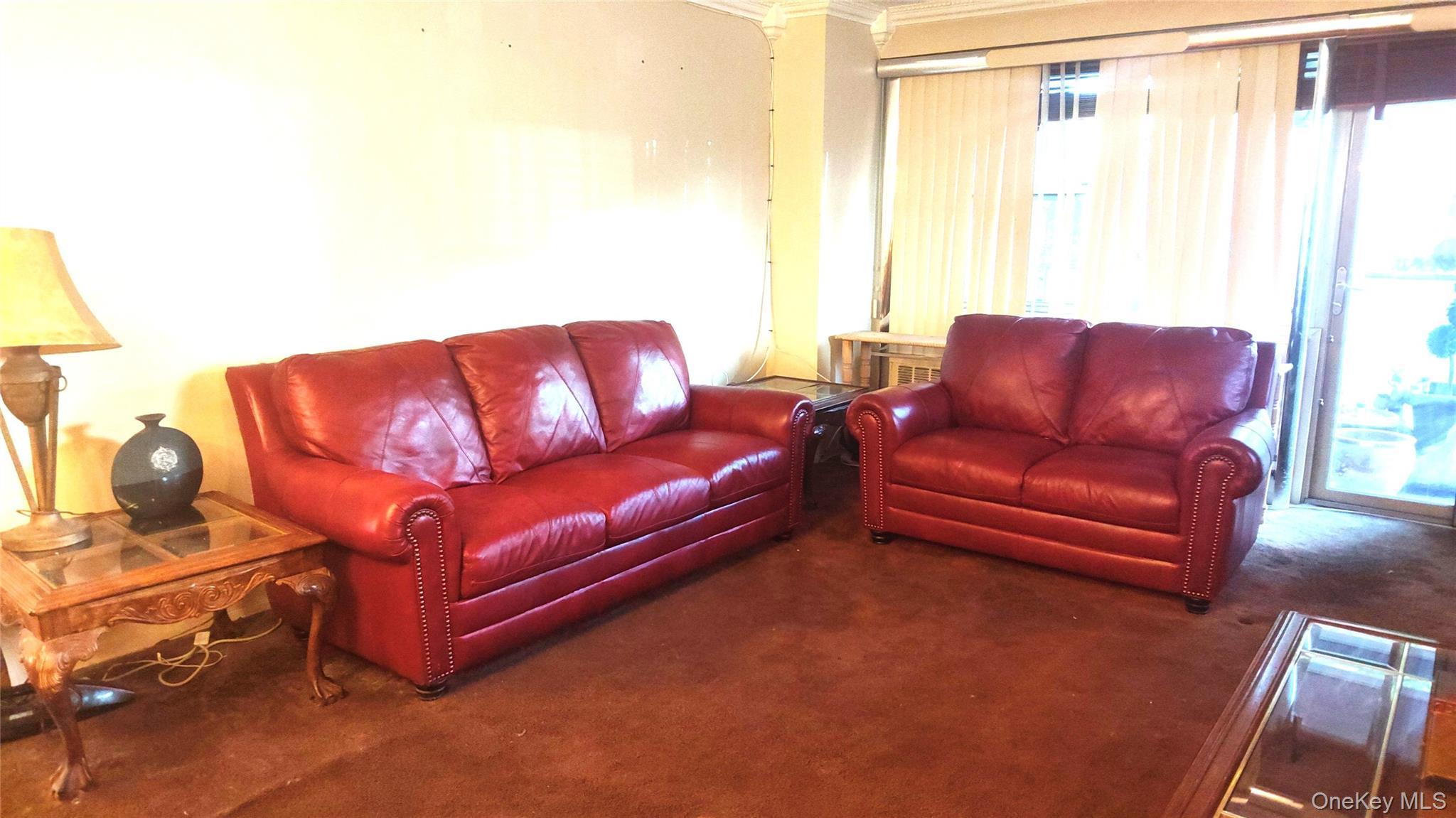 Condo Cozine  Brooklyn, NY 11207, MLS-1001279-14