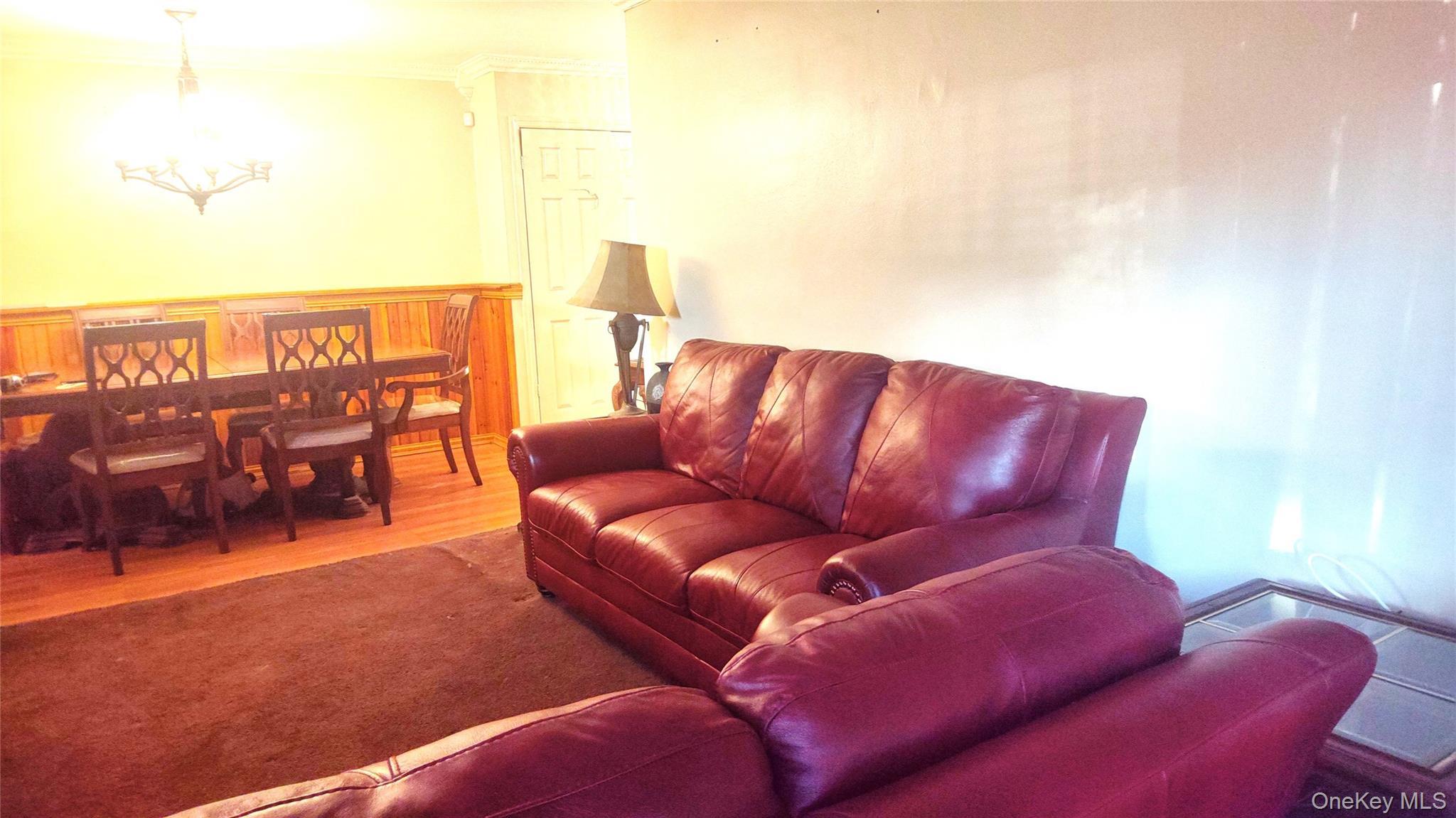 Condo Cozine  Brooklyn, NY 11207, MLS-1001279-15
