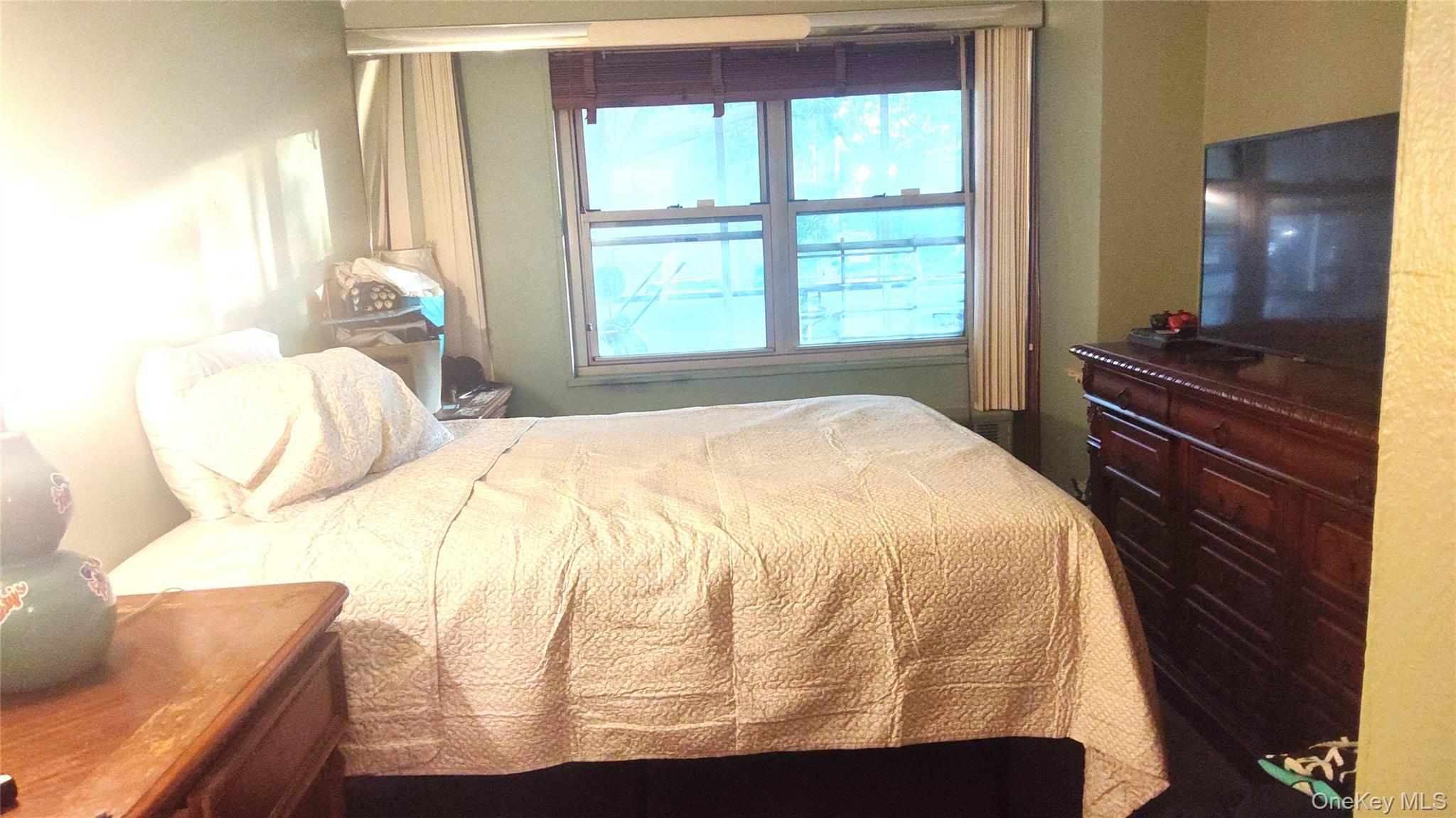 Condo Cozine  Brooklyn, NY 11207, MLS-1001279-16