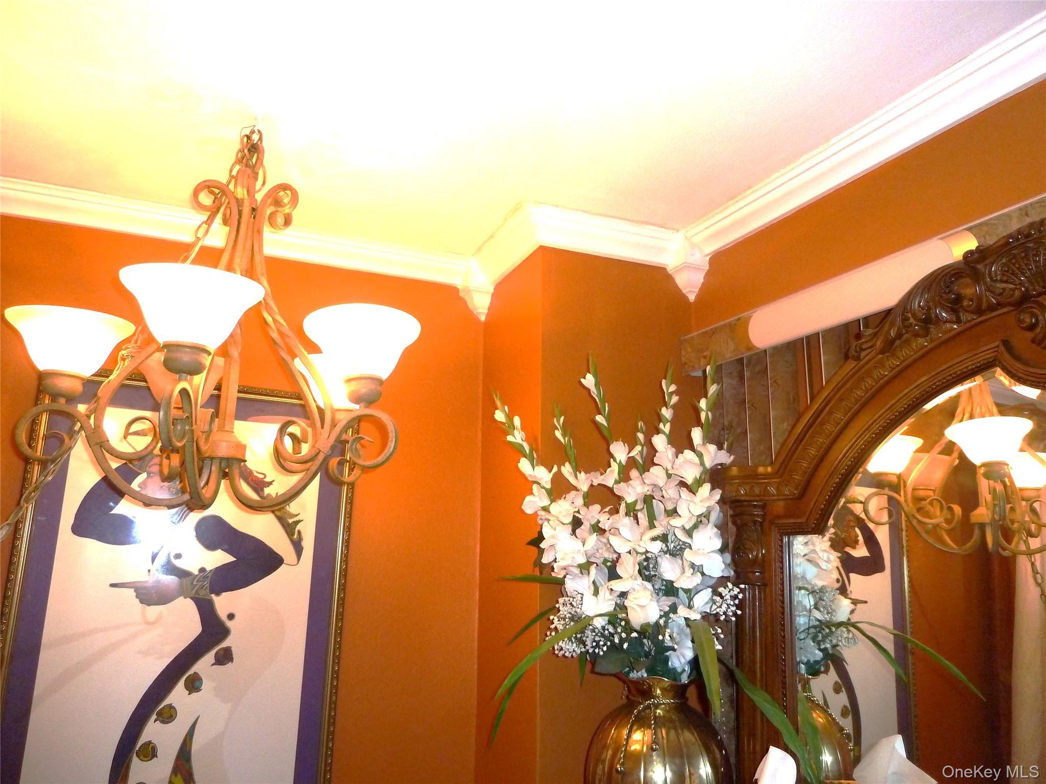 Condo Cozine  Brooklyn, NY 11207, MLS-1001279-19