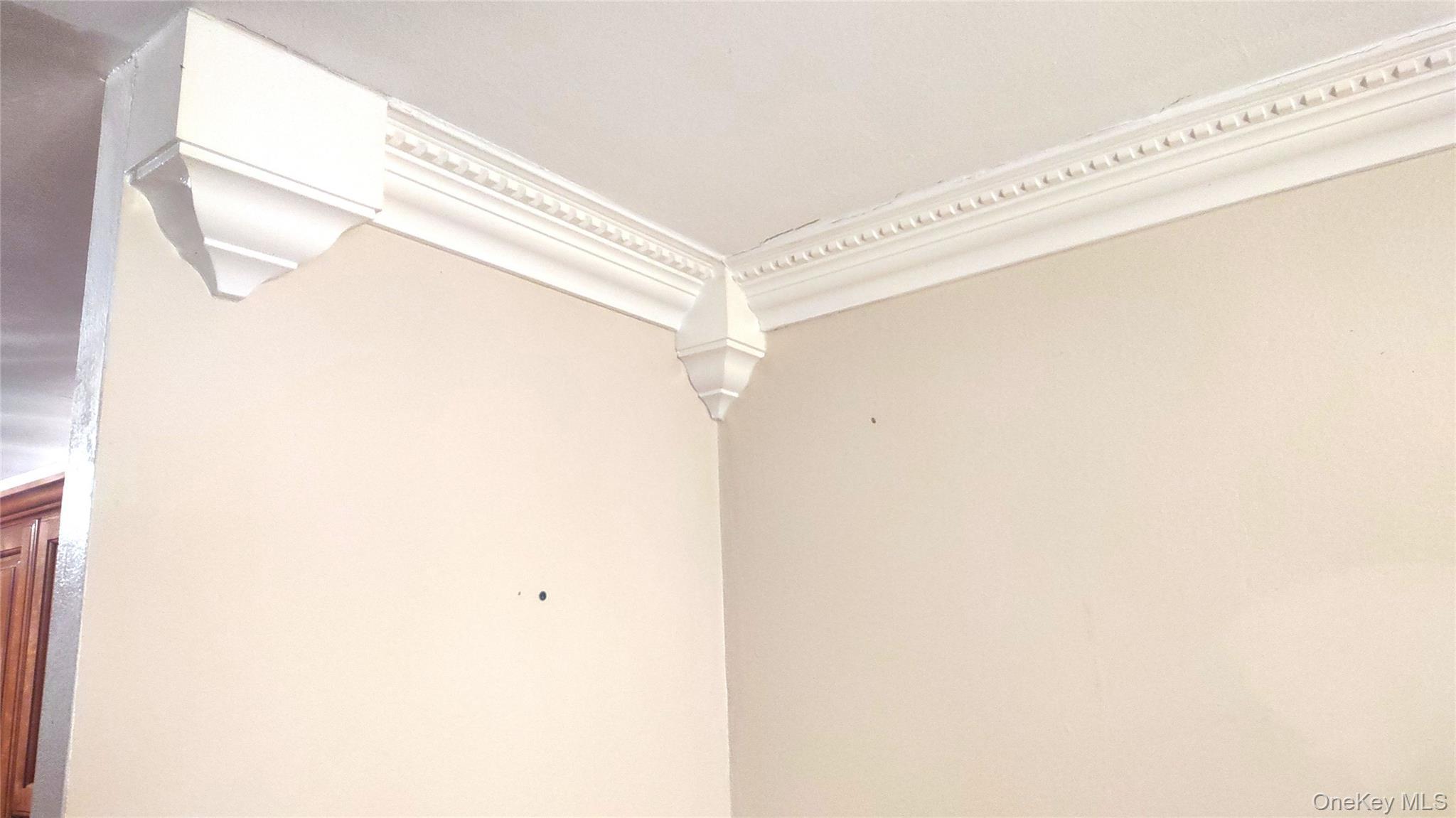 Condo Cozine  Brooklyn, NY 11207, MLS-1001279-20