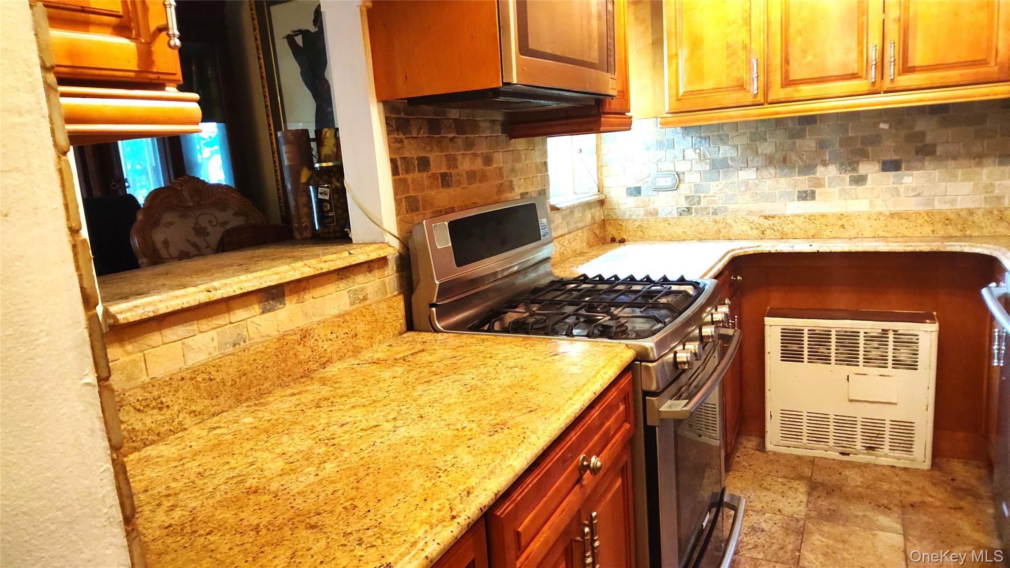 Condo Cozine  Brooklyn, NY 11207, MLS-1001279-3