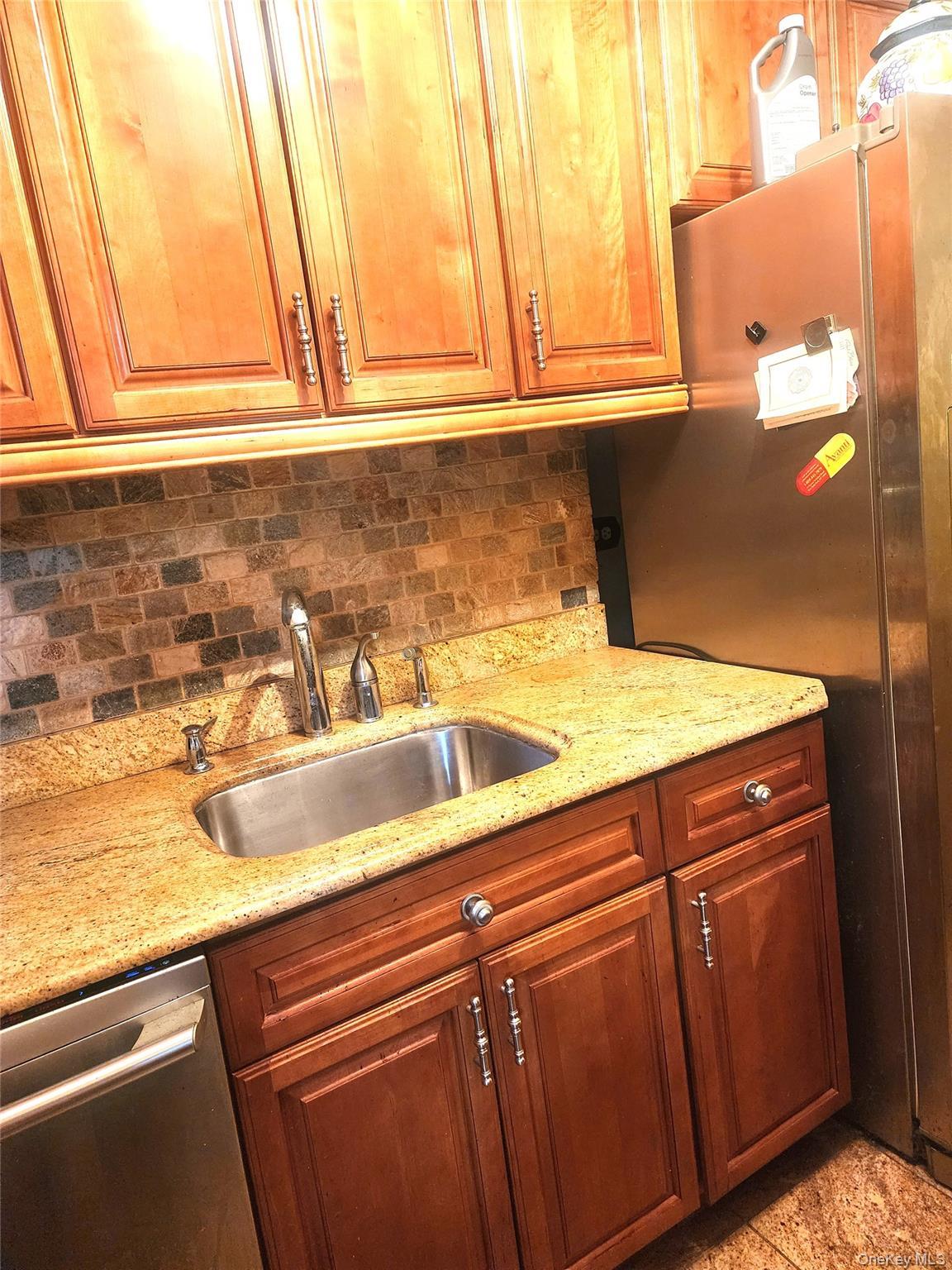 Condo Cozine  Brooklyn, NY 11207, MLS-1001279-6