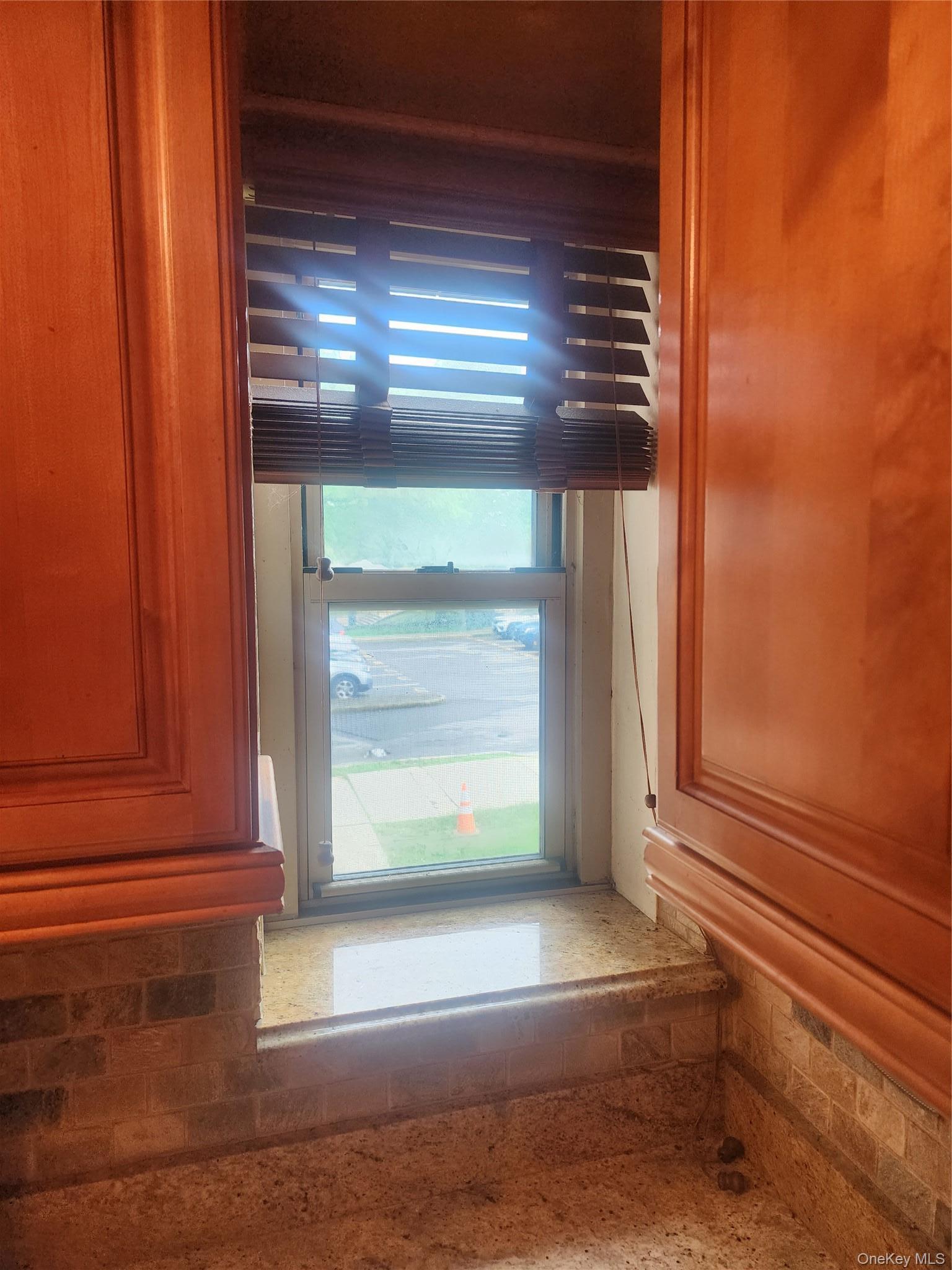 Condo Cozine  Brooklyn, NY 11207, MLS-1001279-7
