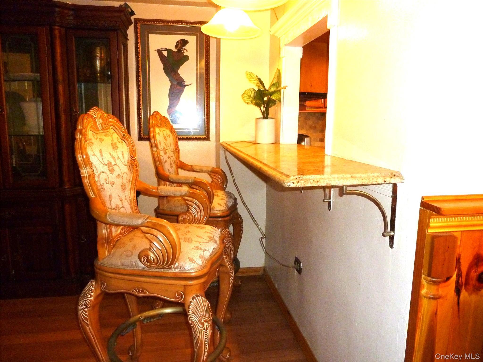 Condo Cozine  Brooklyn, NY 11207, MLS-1001279-8