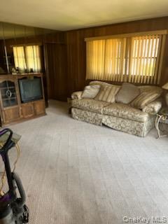 Single Family Texas Street  Suffolk County, NY 11757, MLS-1001370-5