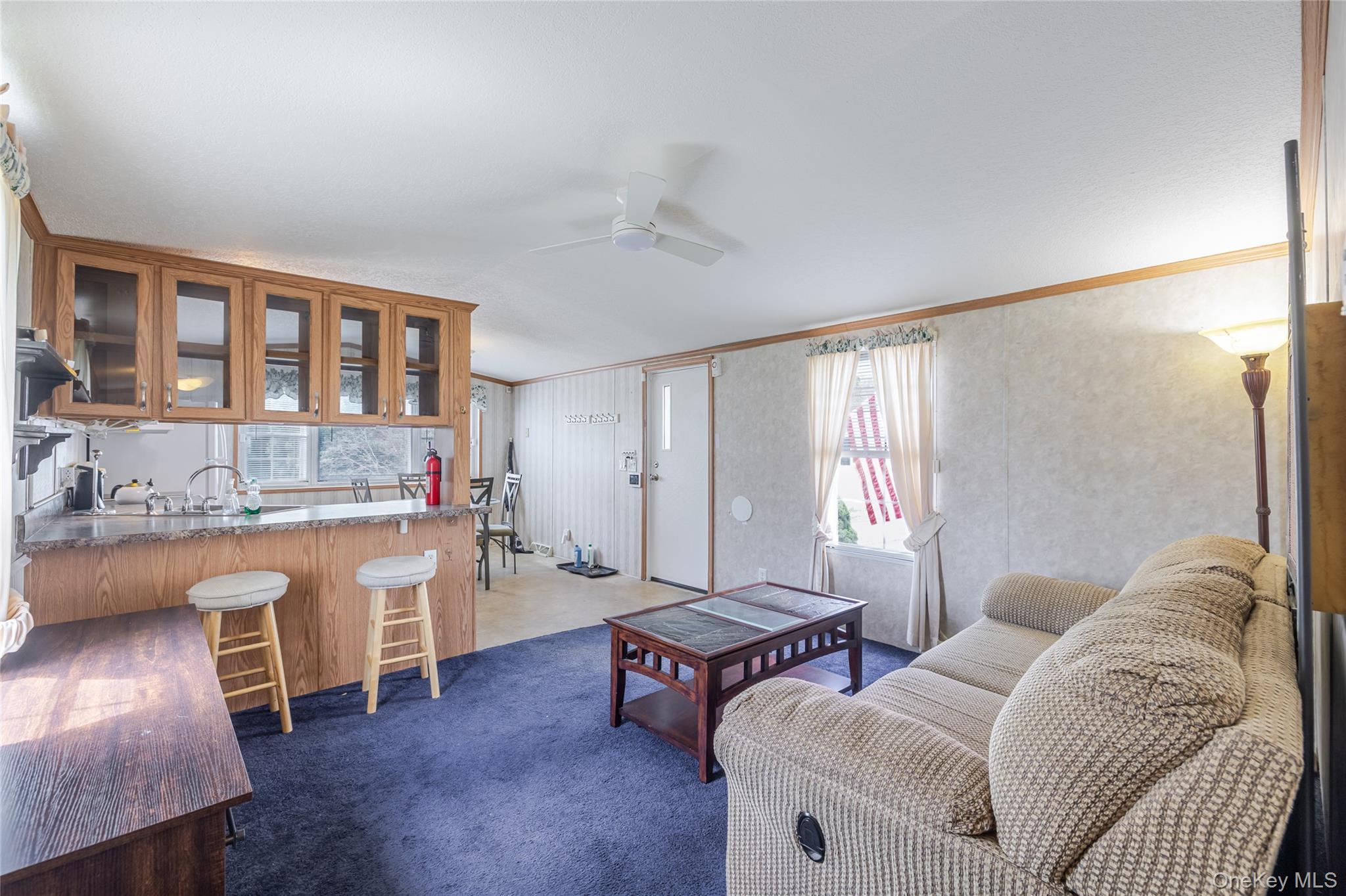 Single Family Route 6n Trailer 45  Putnam County, NY 10541, MLS-1001389-15