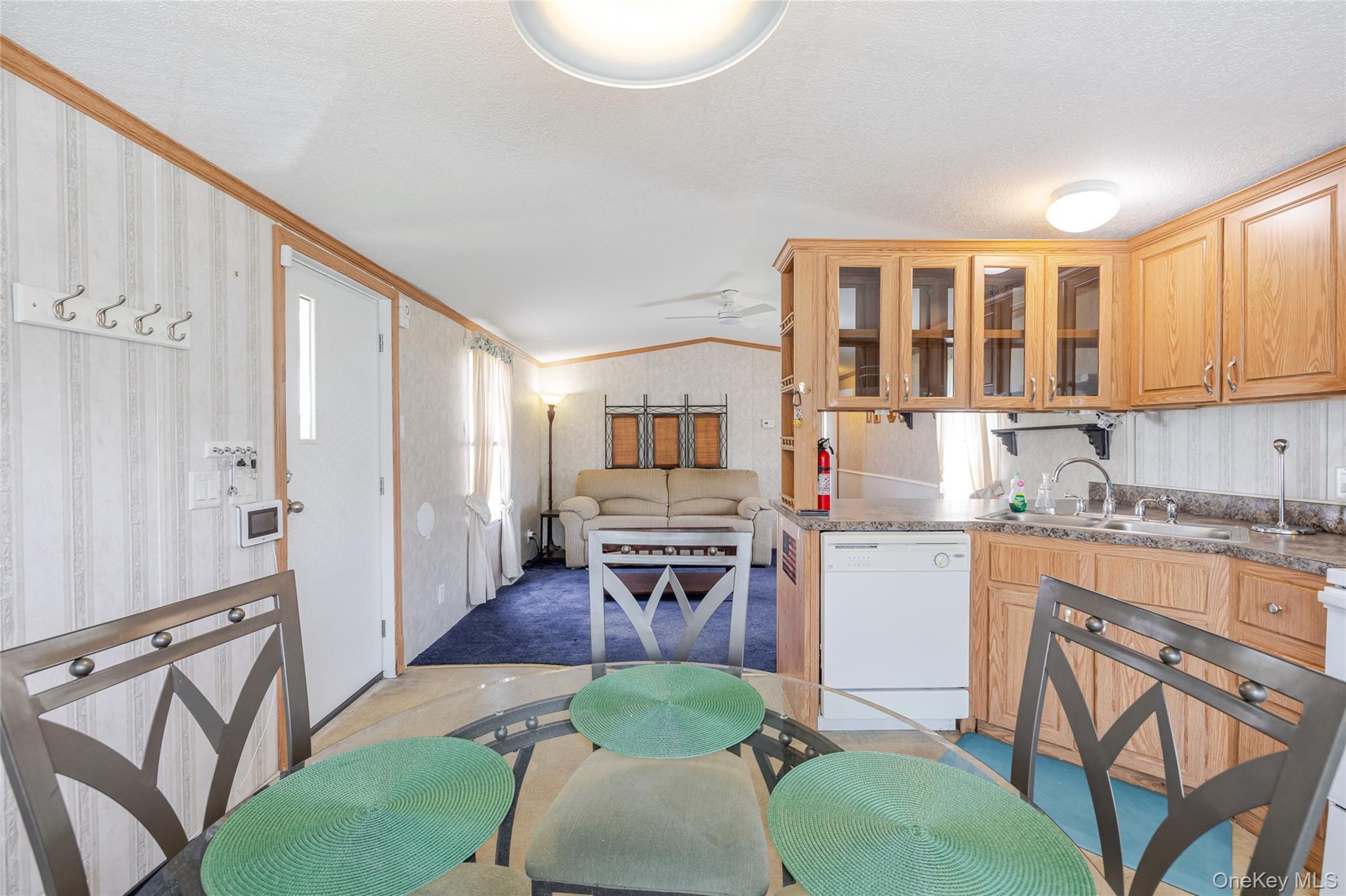 Single Family Route 6n Trailer 45  Putnam County, NY 10541, MLS-1001389-17