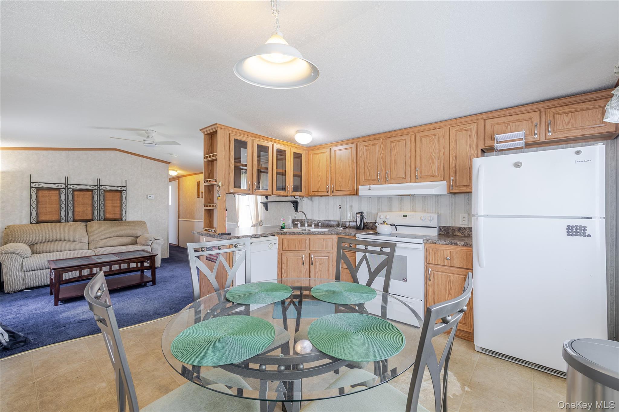 Single Family Route 6n Trailer 45  Putnam County, NY 10541, MLS-1001389-18