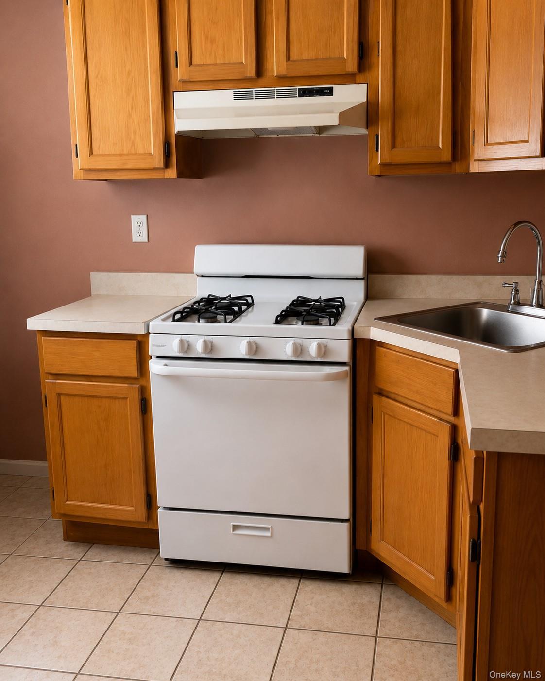 Single Family 57th Street Brooklyn, NY 11220, MLS-1001390-12