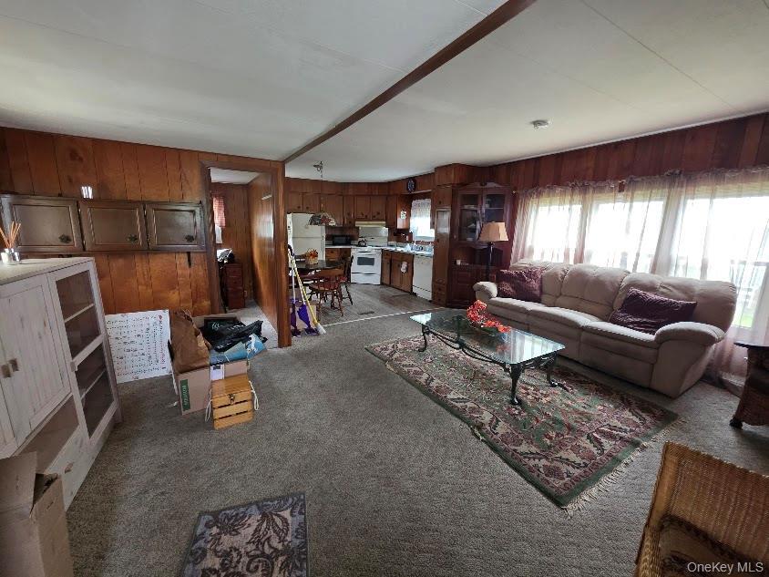 Single Family River  Suffolk County, NY 11933, MLS-1001450-6