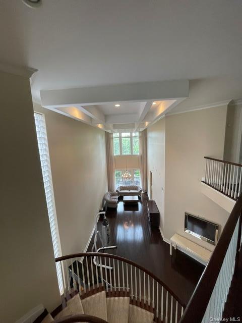 Single Family Holiday Pond Road  Nassau County, NY 11753, MLS-1001458-11