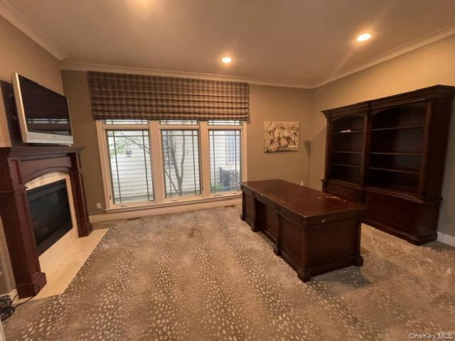 Single Family Holiday Pond Road  Nassau County, NY 11753, MLS-1001458-3