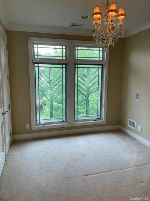 Single Family Holiday Pond Road  Nassau County, NY 11753, MLS-1001458-4