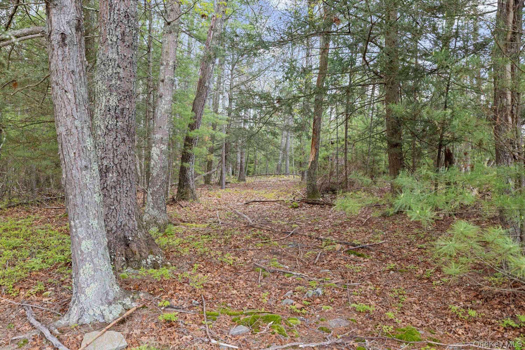 Single Family Stone Road Ulster County, NY 12491, MLS-1001470-37