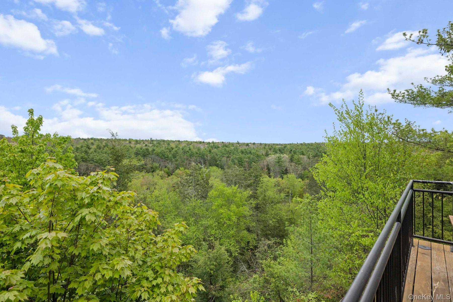 Single Family Stone Road Ulster County, NY 12491, MLS-1001470-9