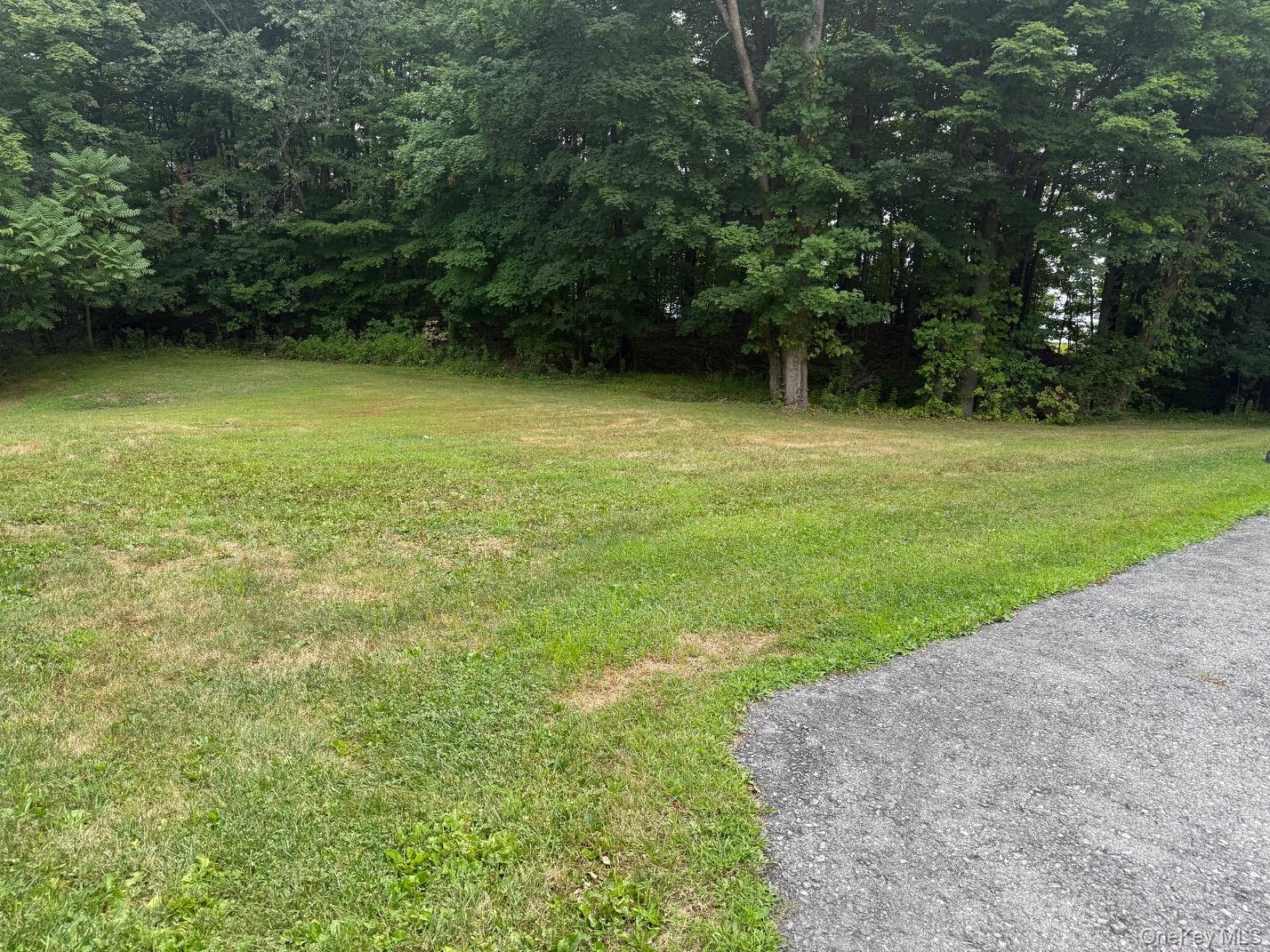 Single Family County Route 49 Orange County, NY 10940, MLS-1001539-27