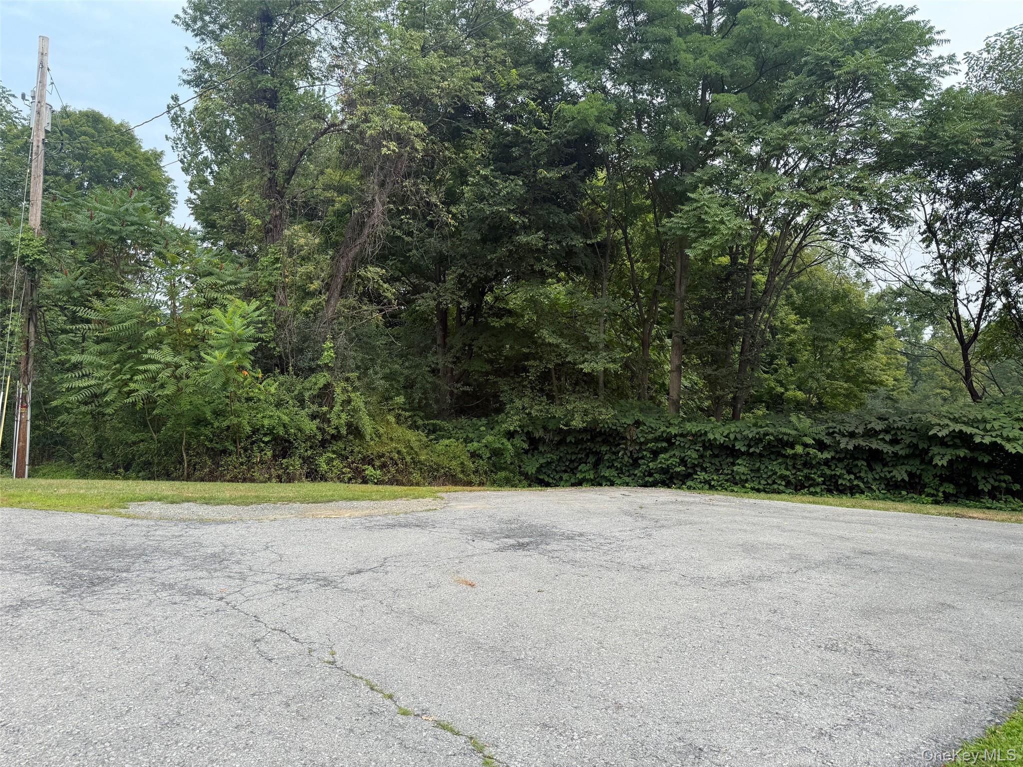 Single Family County Route 49 Orange County, NY 10940, MLS-1001539-29
