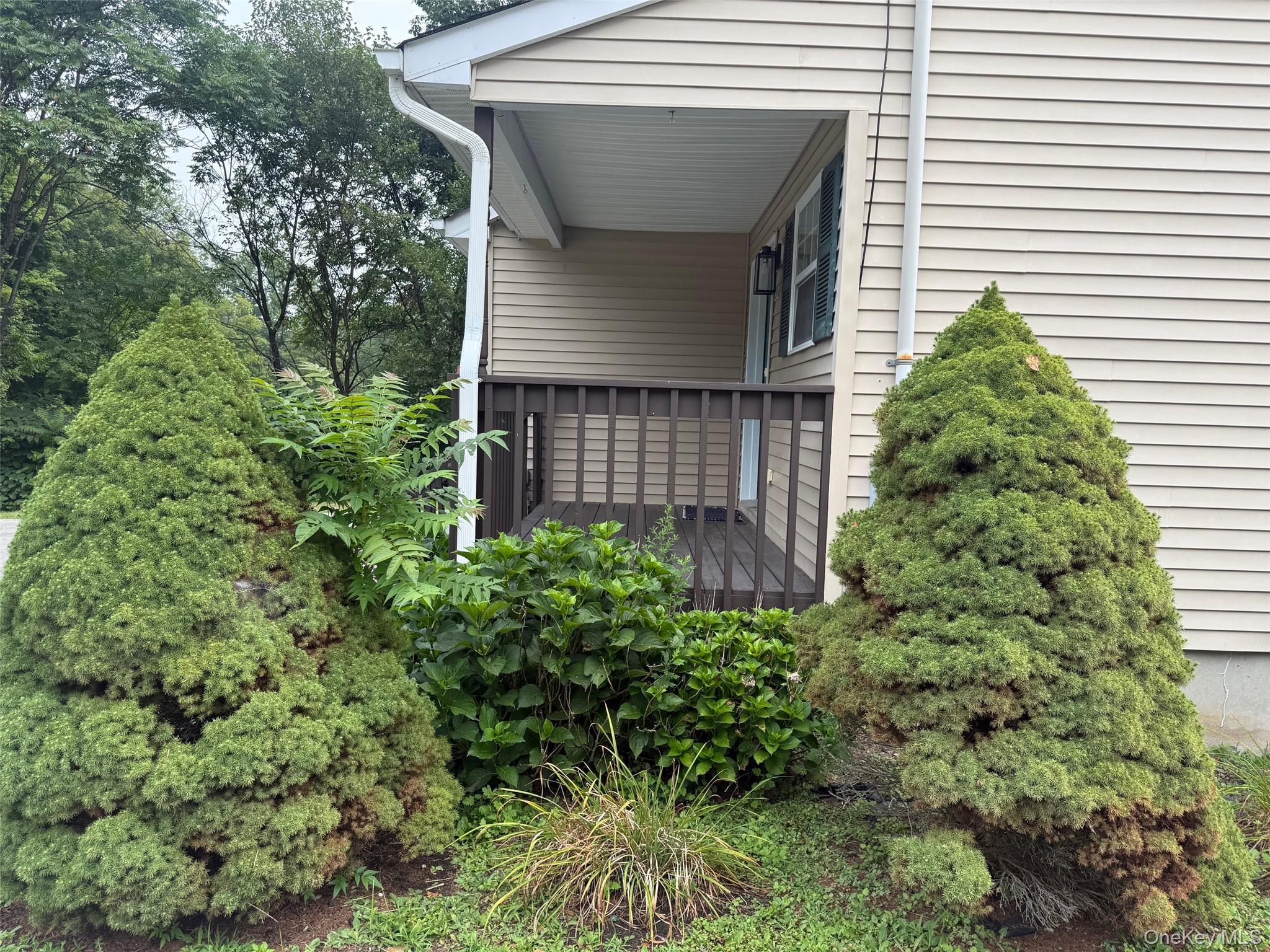 Single Family County Route 49 Orange County, NY 10940, MLS-1001539-4
