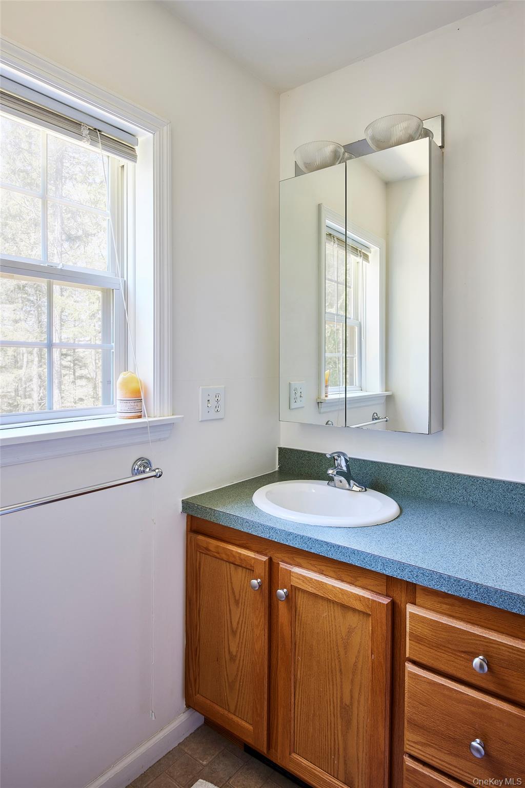 Single Family Elko Lake Drive Sullivan County, NY 12768, MLS-1001547-22