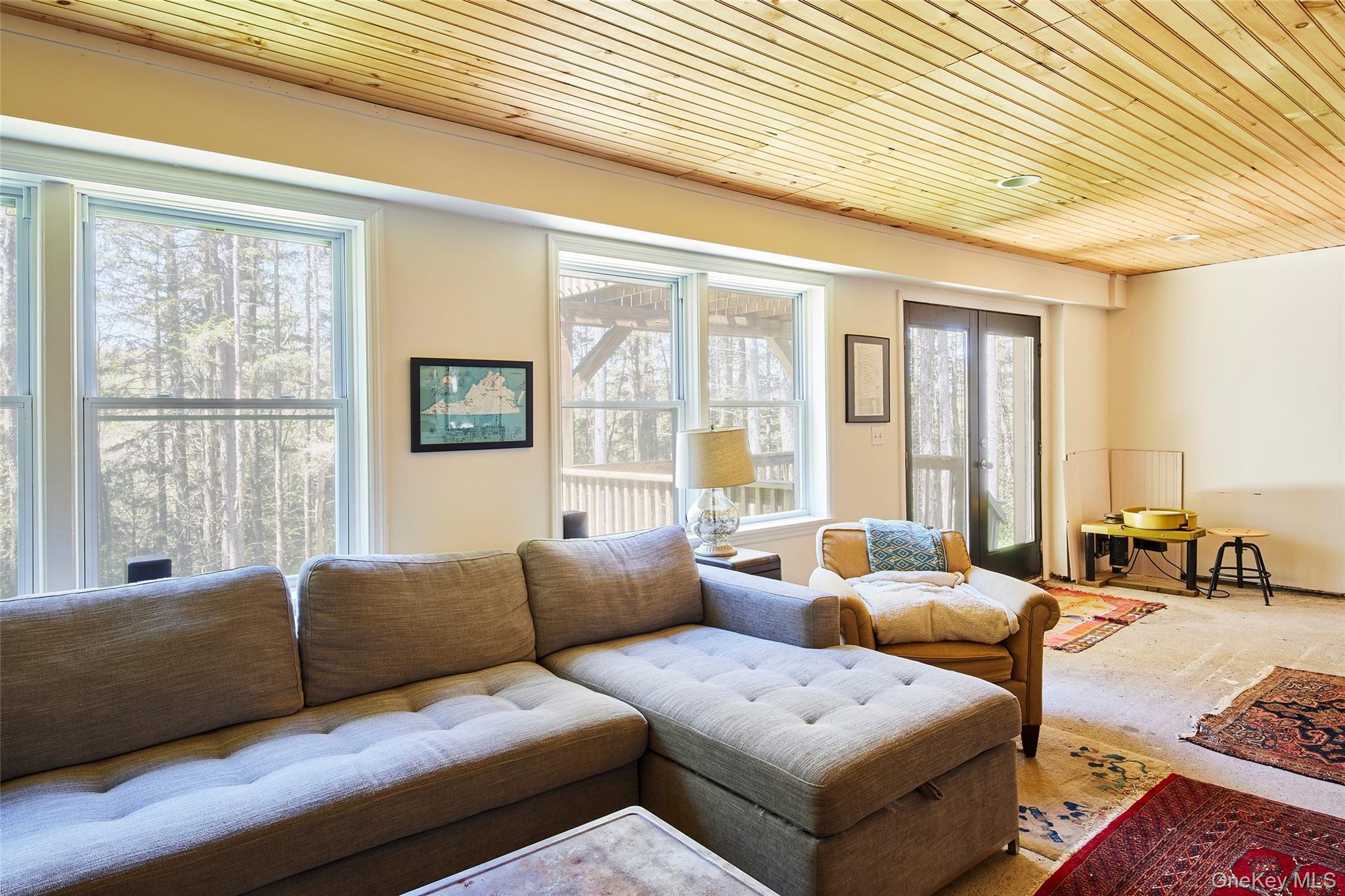 Single Family Elko Lake Drive Sullivan County, NY 12768, MLS-1001547-29