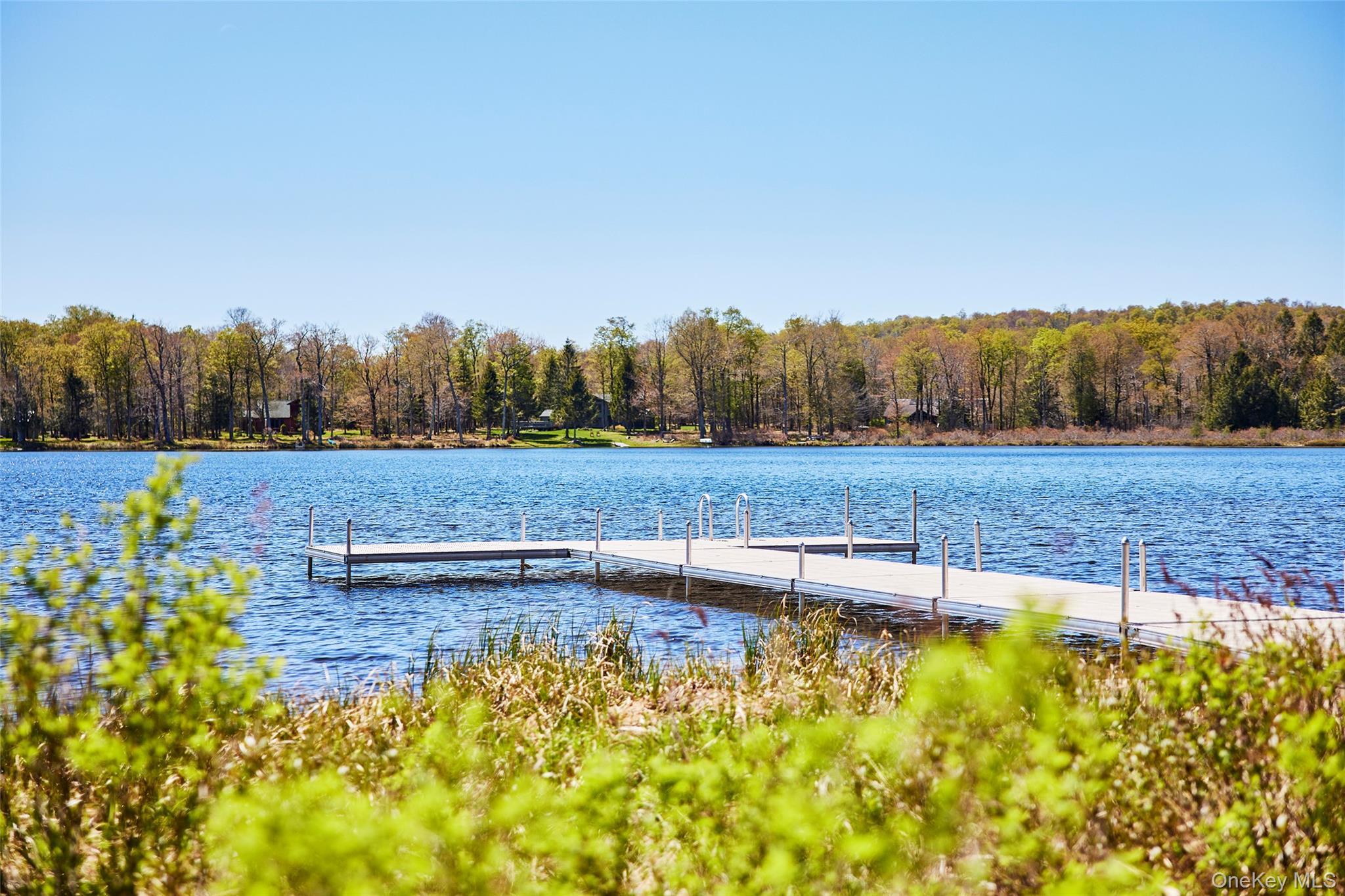 Single Family Elko Lake Drive Sullivan County, NY 12768, MLS-1001547-36