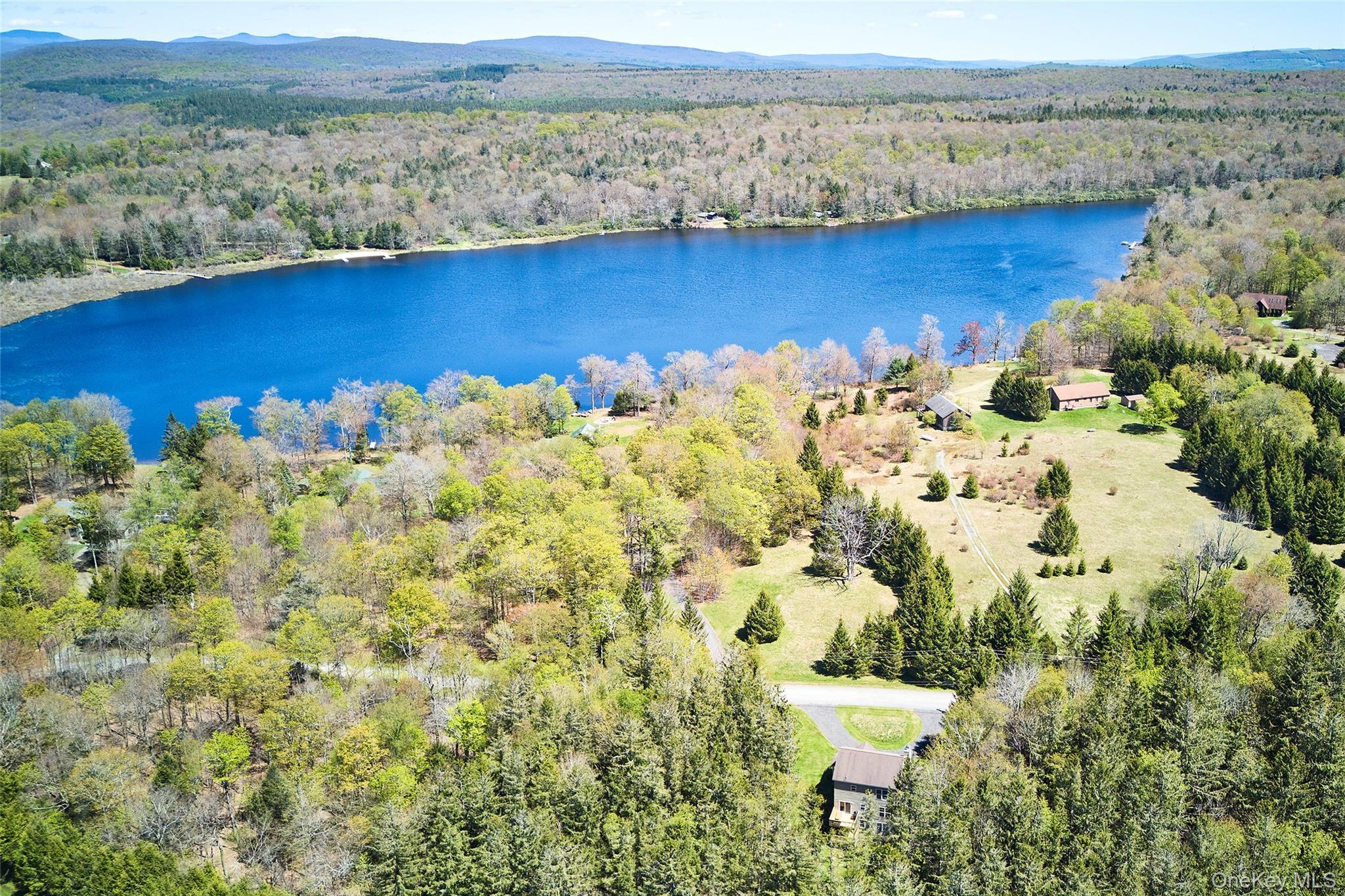 Single Family Elko Lake Drive  Sullivan County, NY 12768, MLS-1001547-41
