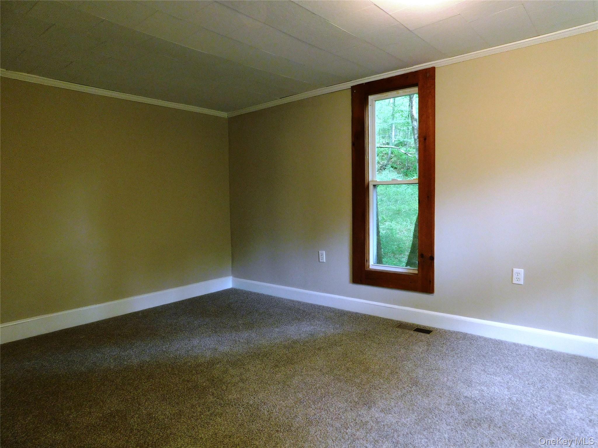 Single Family State Route 42  Orange County, NY 12780, MLS-1001553-9